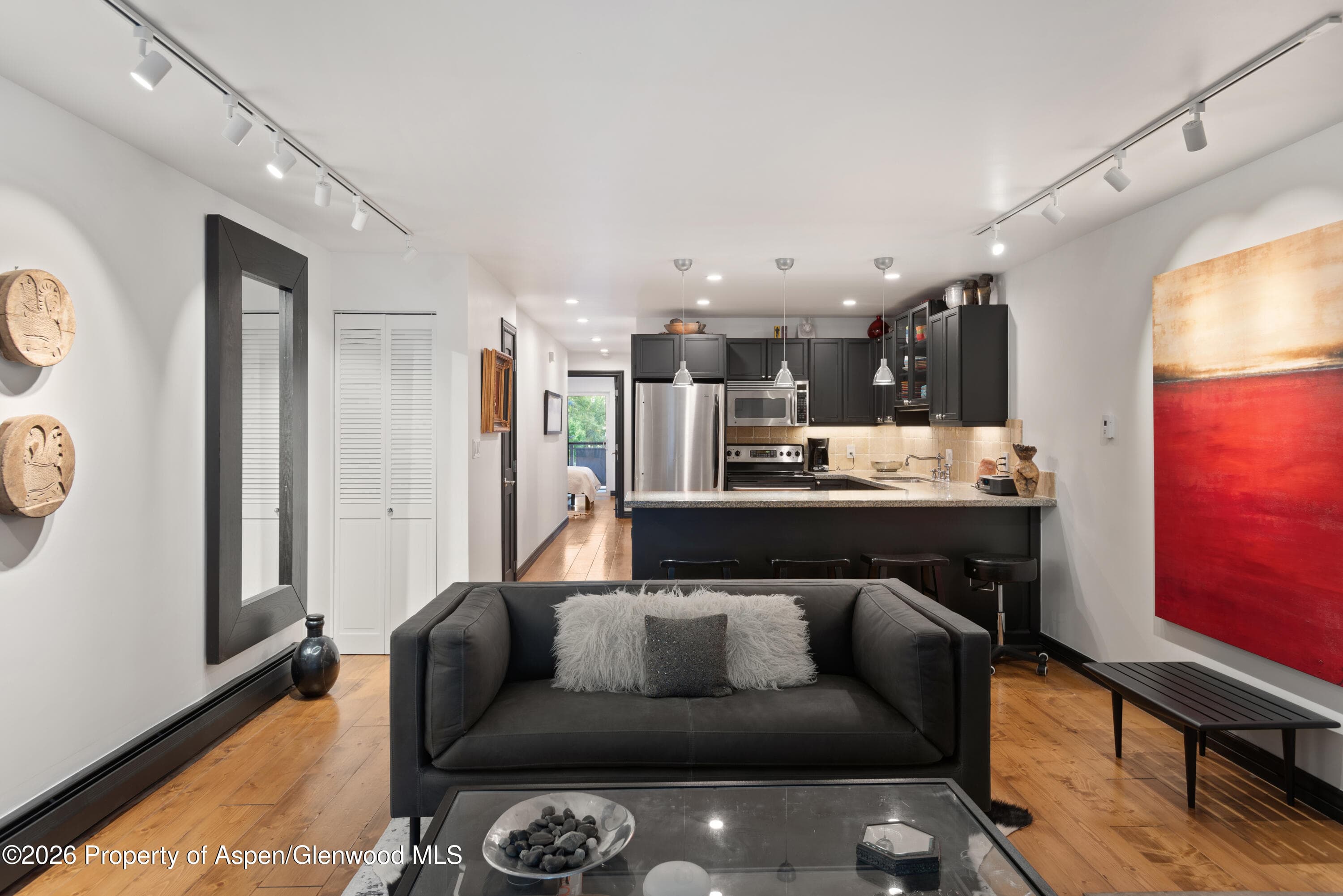 100 E Dean Street Unit 2b, Aspen, CO 81611 - Photo 4