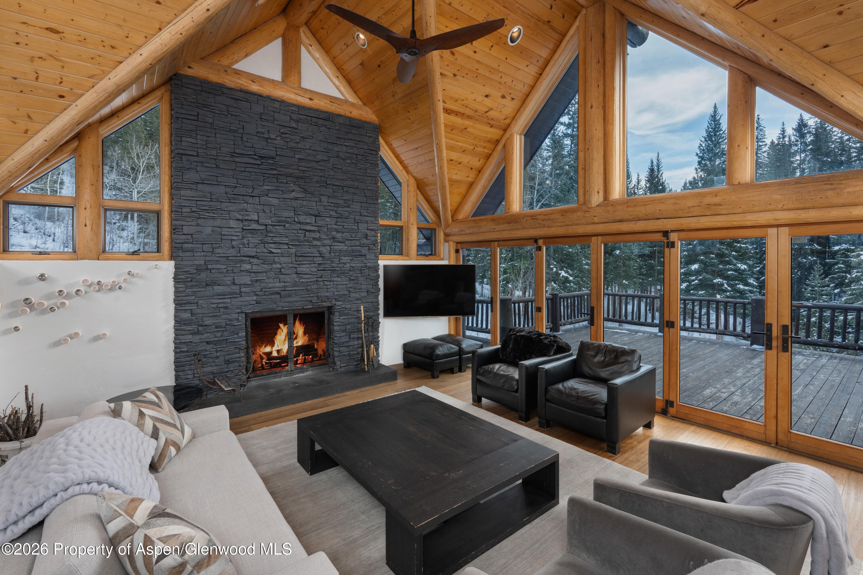 27 & 33 Fall Creek, Aspen, CO 81611 - Photo 17