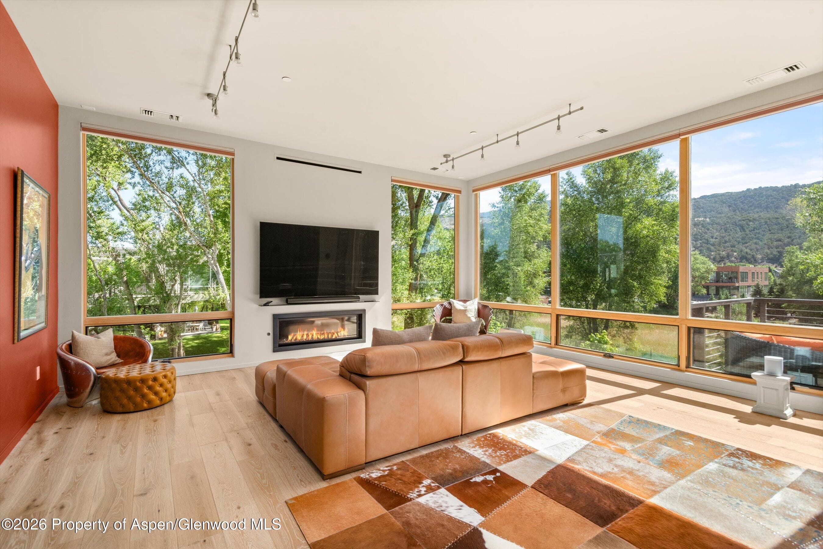 103 Willits Way 201, Basalt, CO 81621 - Photo 4
