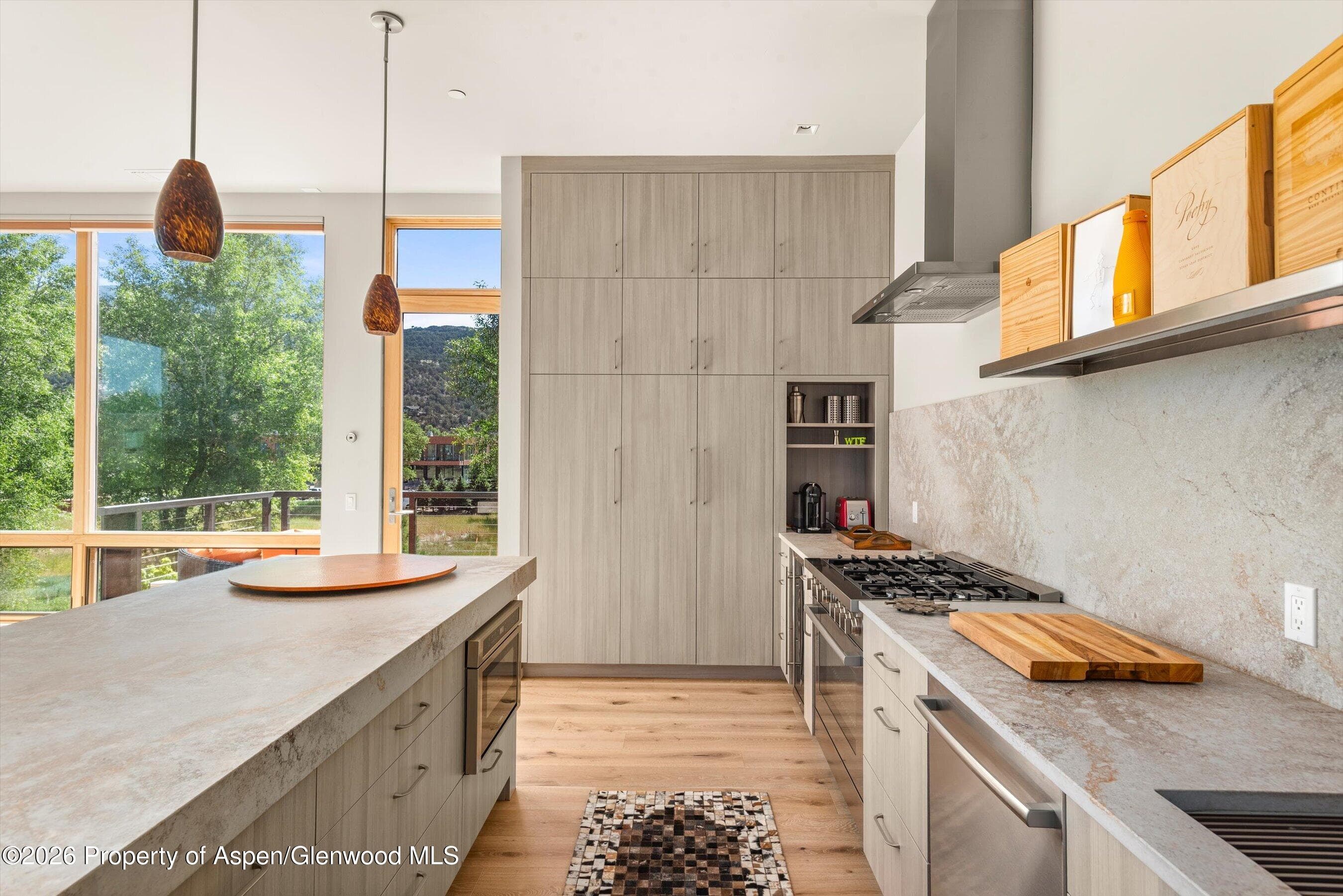 103 Willits Way 201, Basalt, CO 81621 - Photo 10
