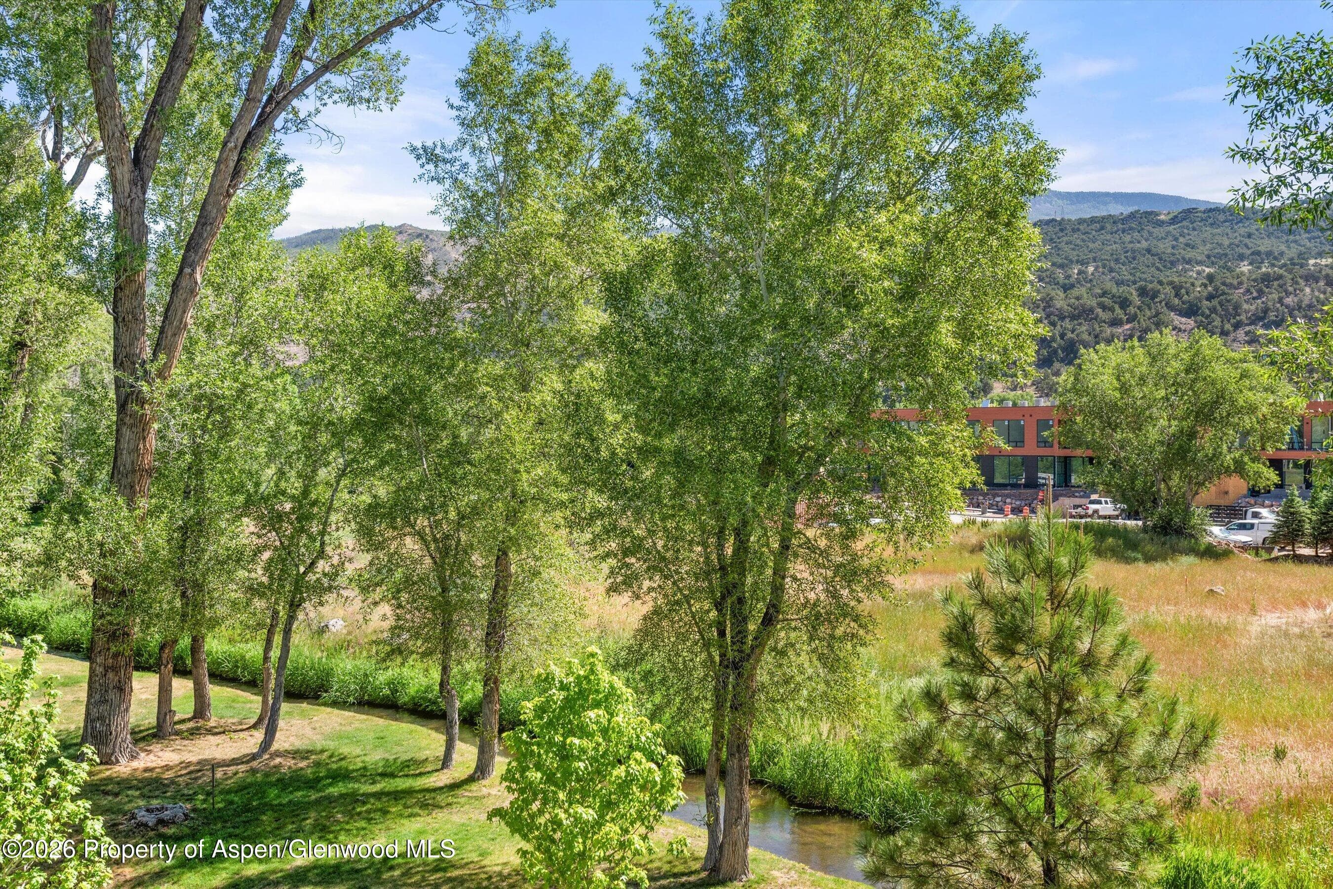 103 Willits Way 201, Basalt, CO 81621 - Photo 13