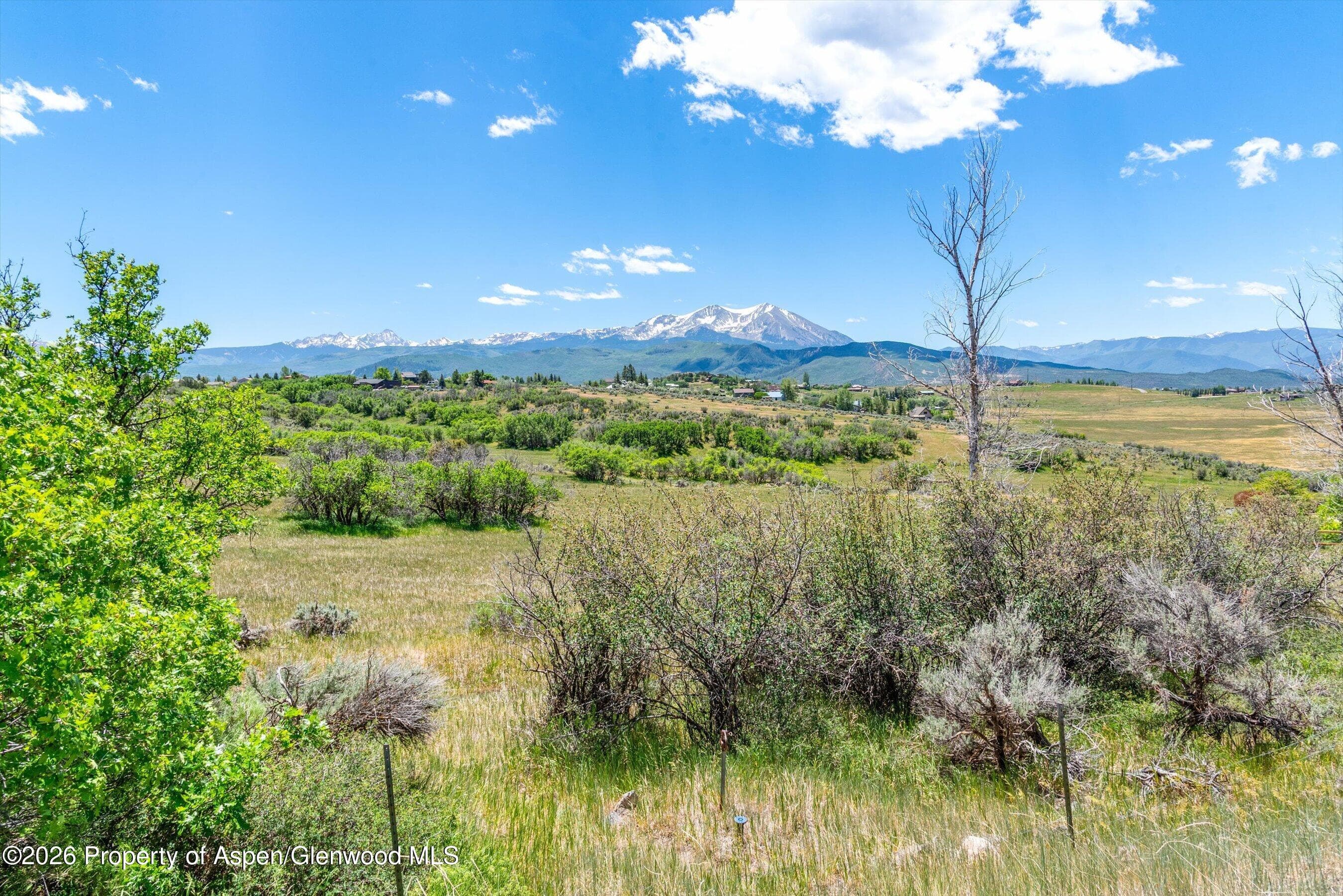 306 Green Meadow Drive, Carbondale, CO 81623 - Photo 17