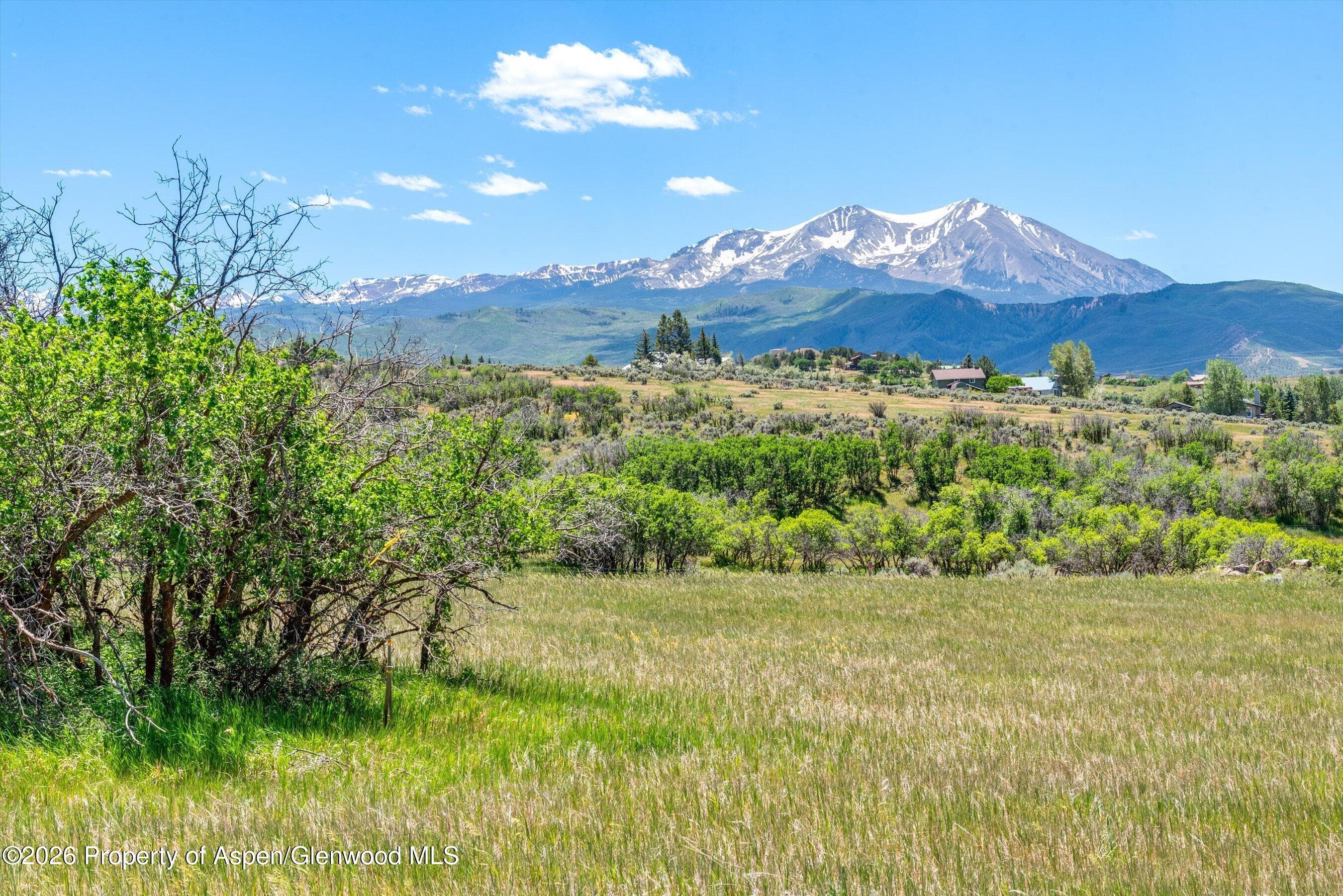 306 Green Meadow Drive, Carbondale, CO 81623 - Photo 4