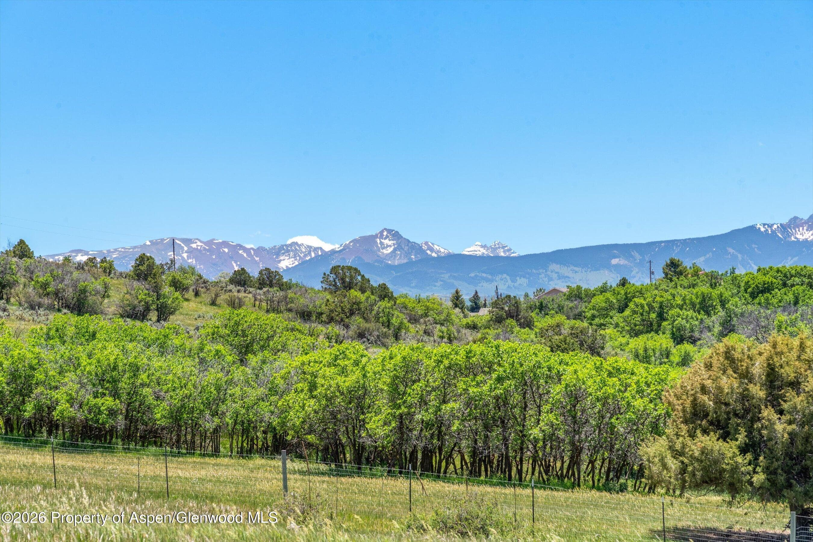 306 Green Meadow Drive, Carbondale, CO 81623 - Photo 3