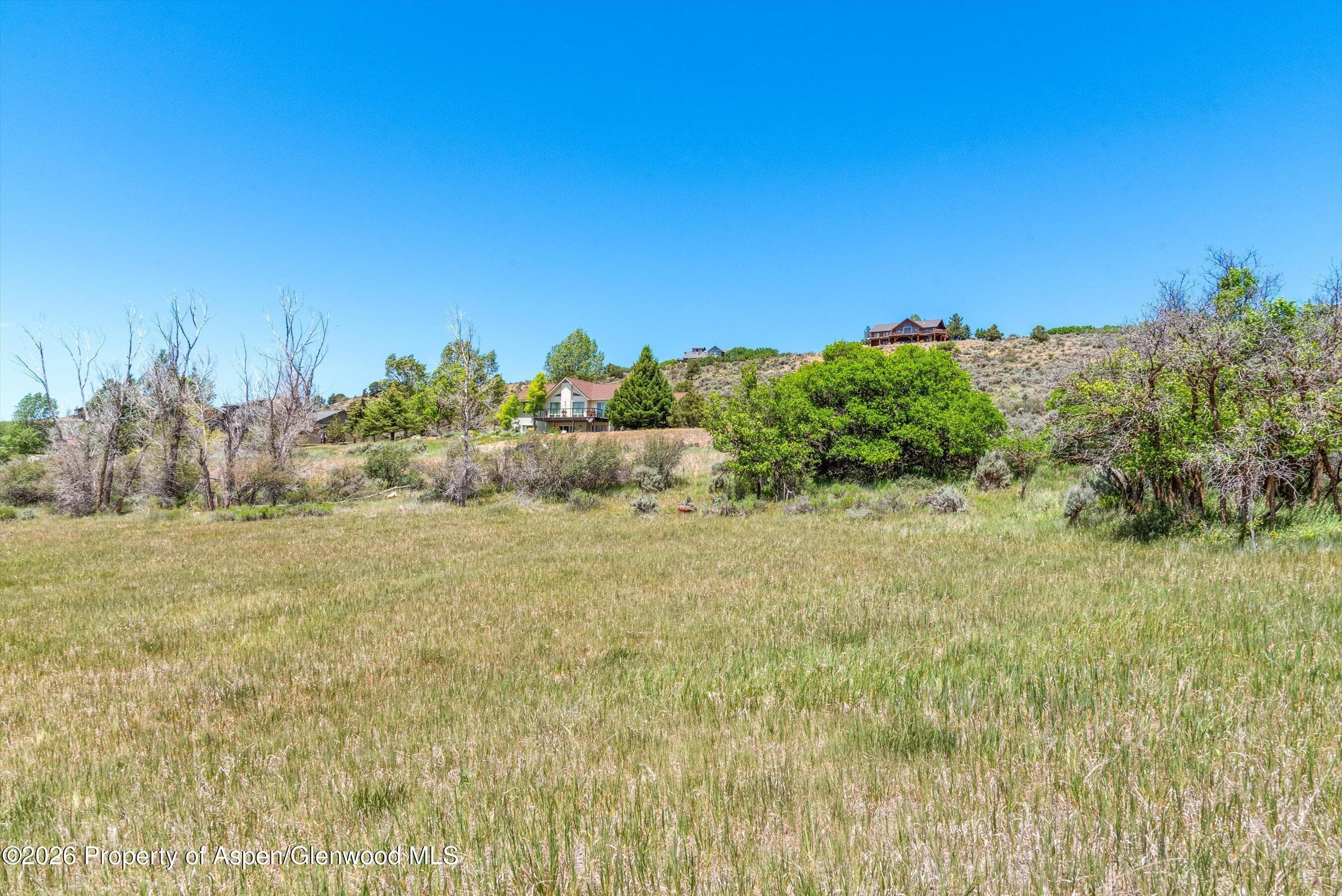 306 Green Meadow Drive, Carbondale, CO 81623 - Photo 21