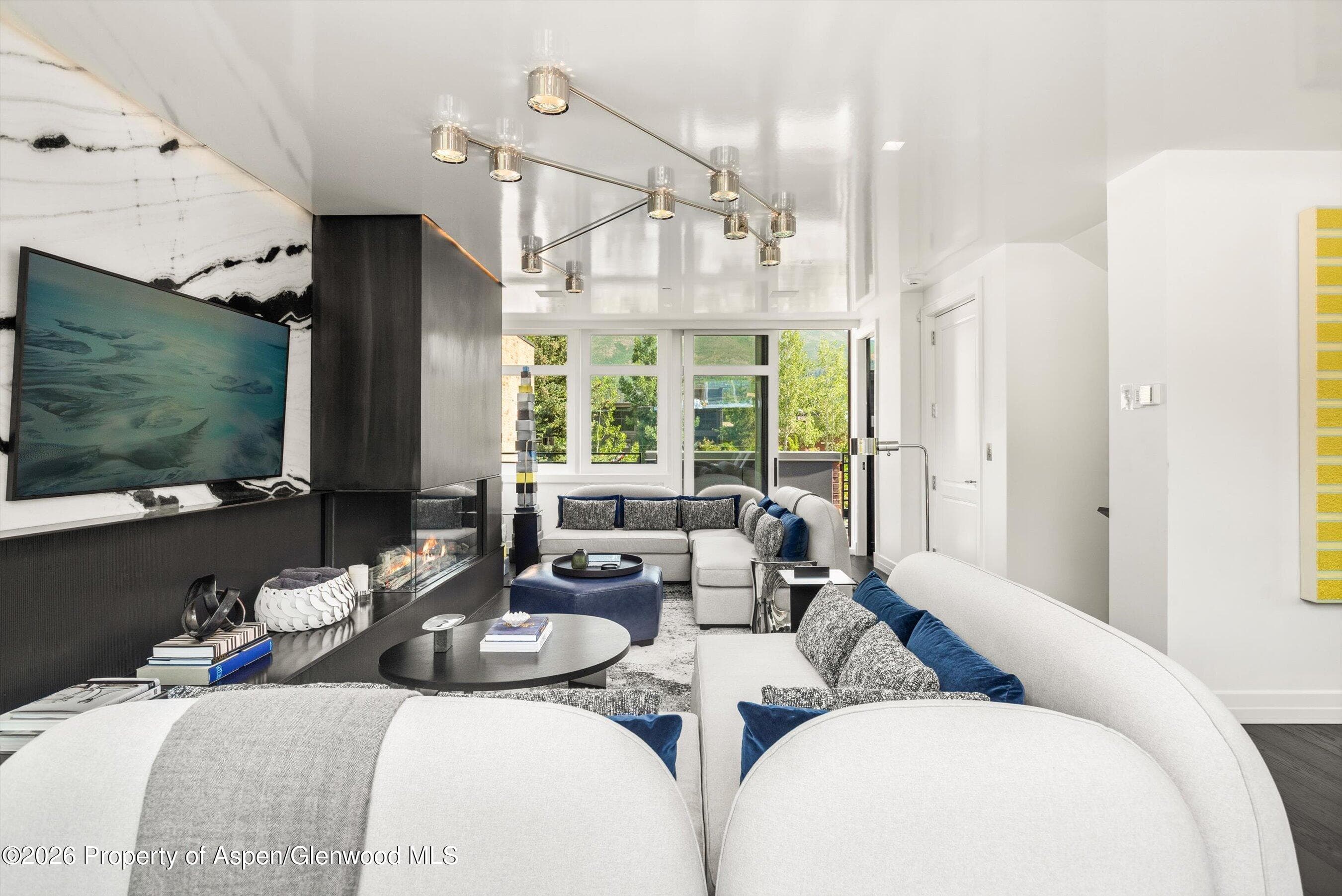 627 E Hopkins Avenue 201, Aspen, CO 81611 - Photo 4