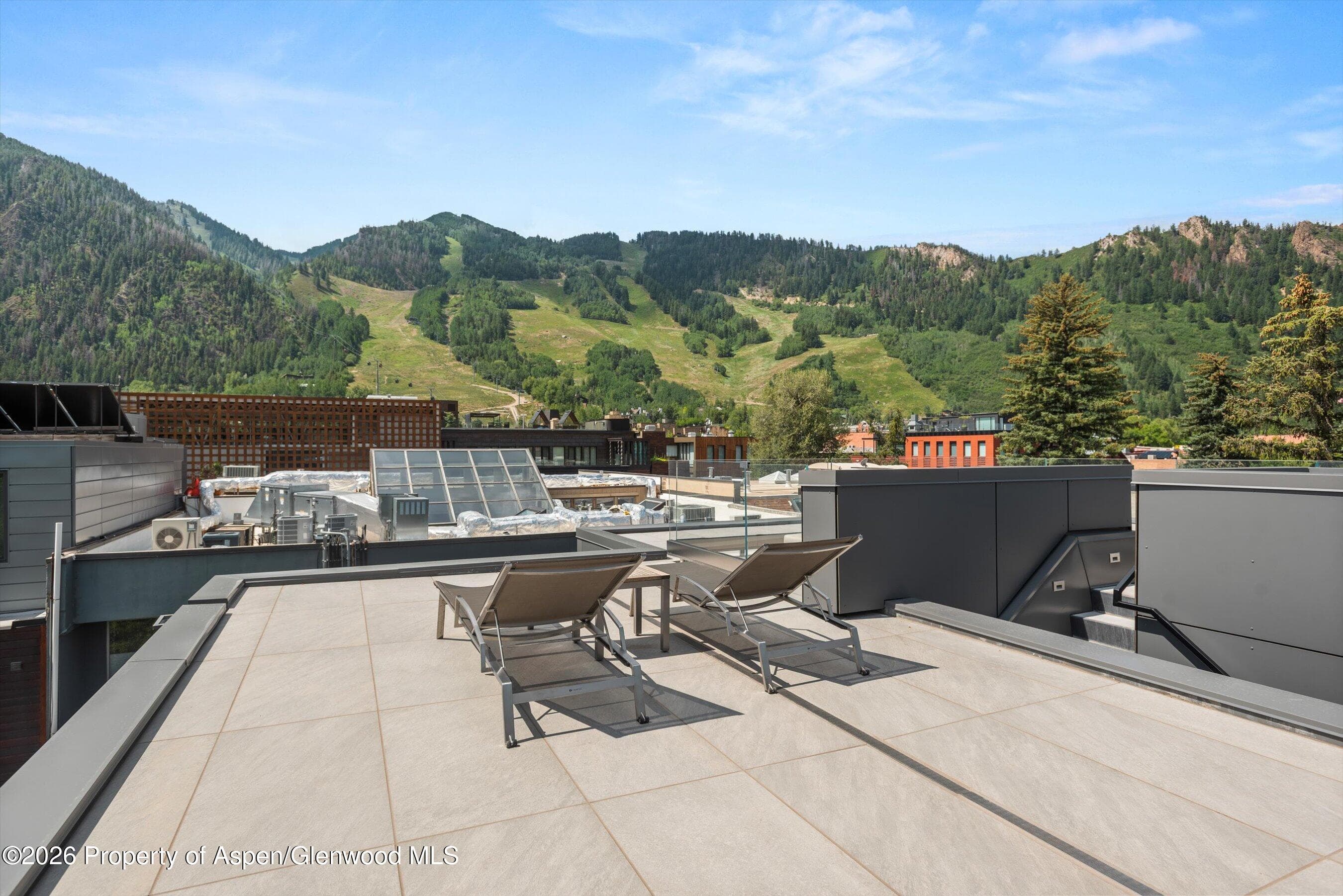 627 E Hopkins Avenue 201, Aspen, CO 81611 - Photo 36