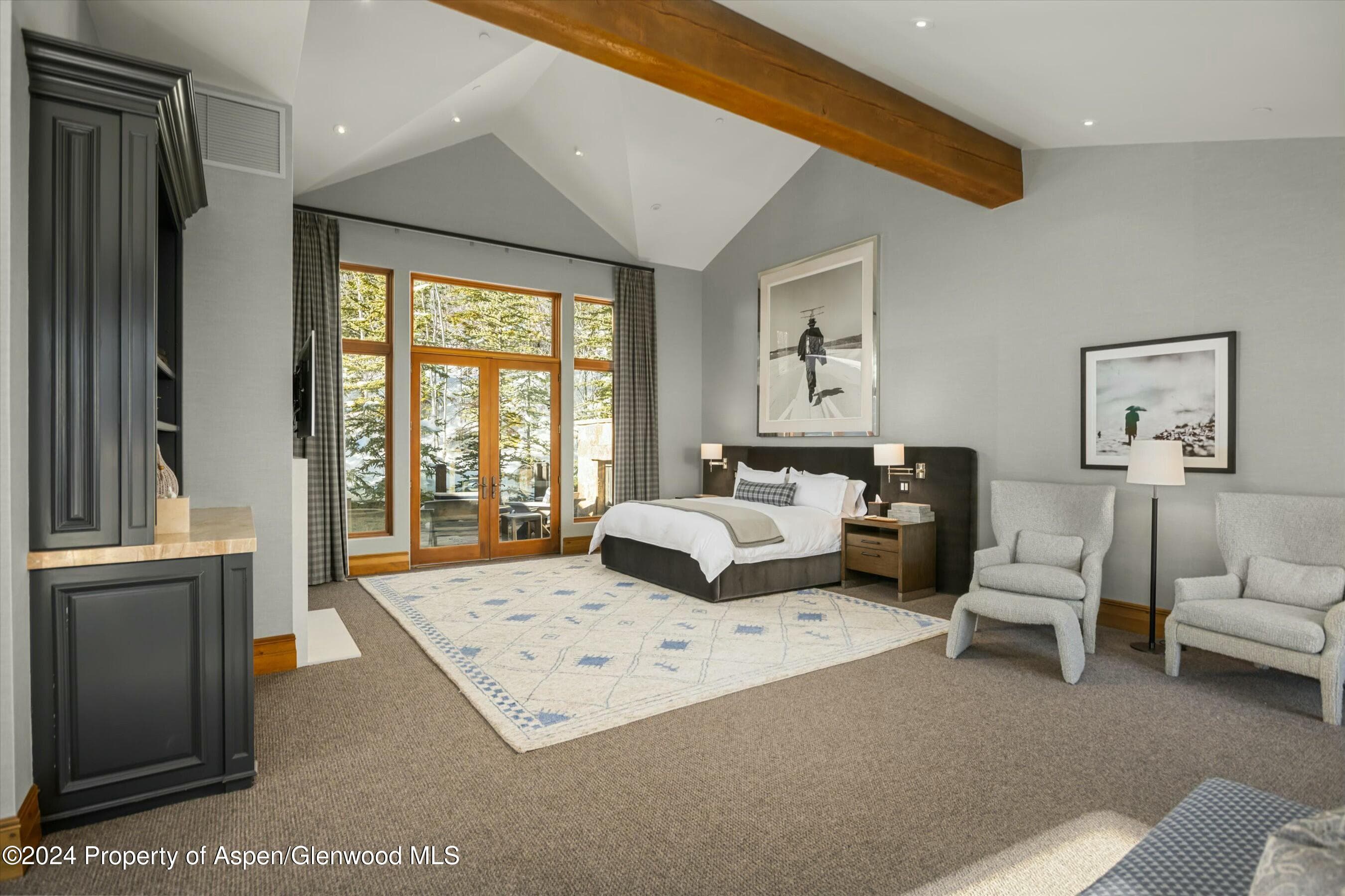 386 Pfister Drive, Aspen, CO 81611 - Photo 5