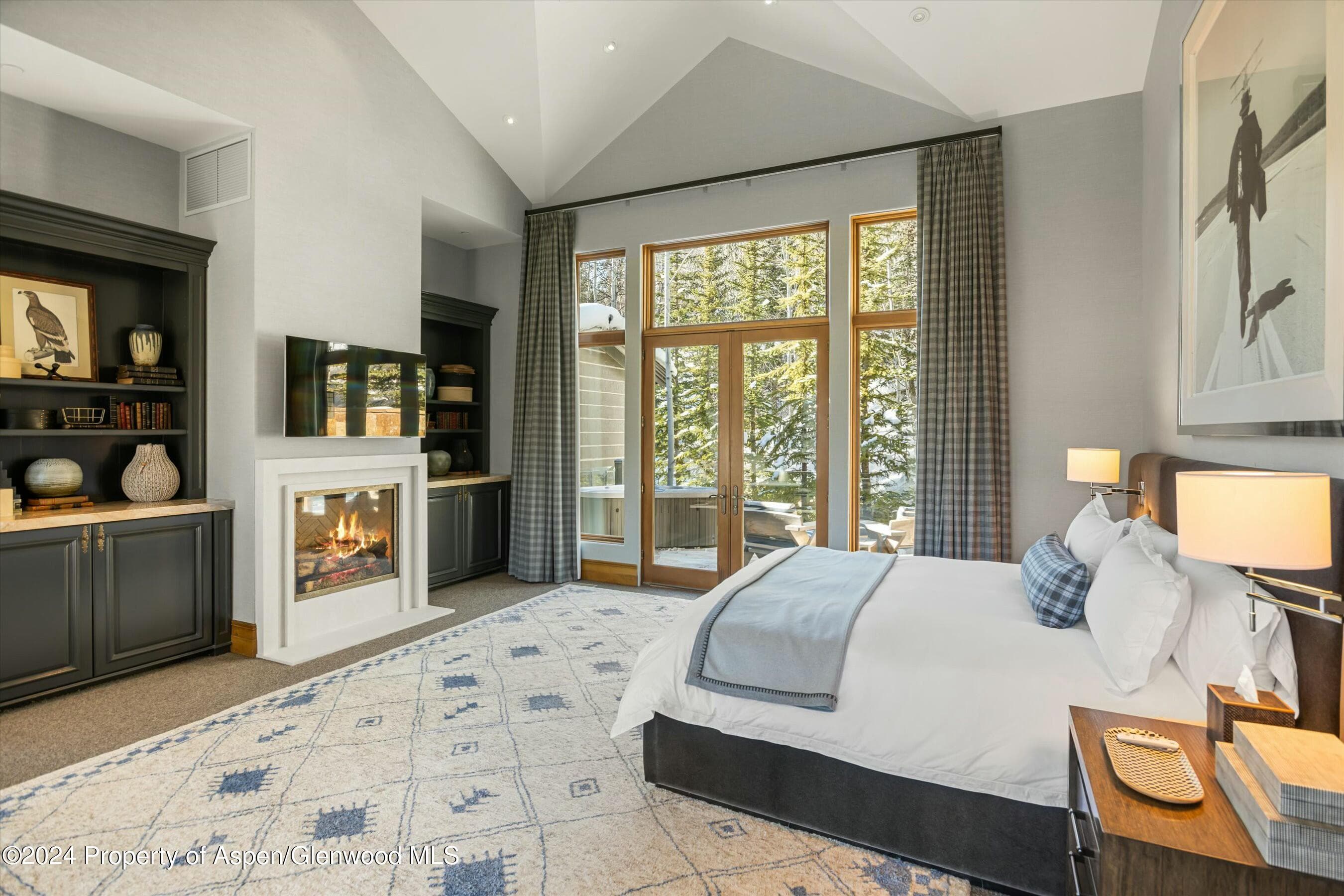 386 Pfister Drive, Aspen, CO 81611 - Photo 6