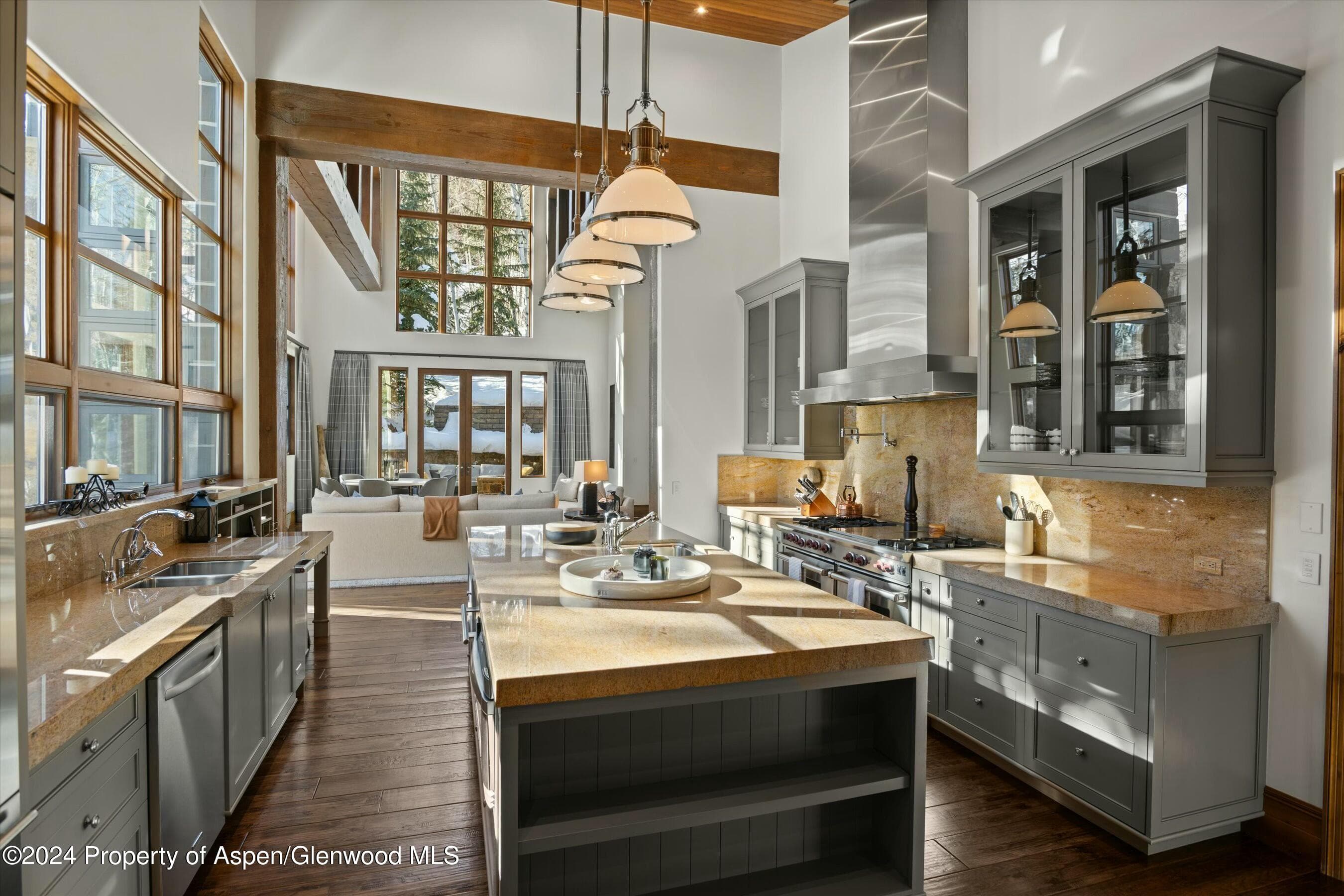 386 Pfister Drive, Aspen, CO 81611 - Photo 9