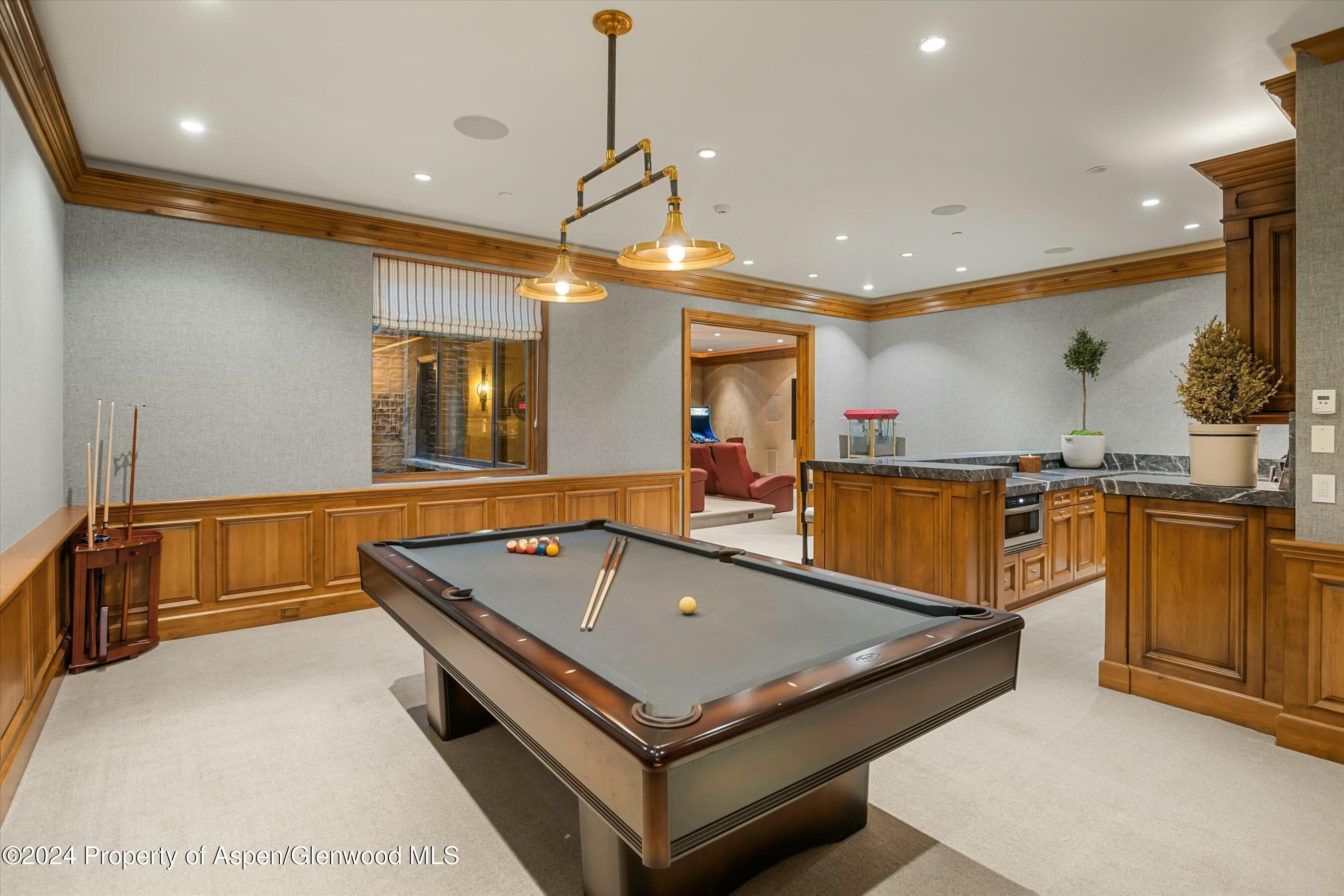386 Pfister Drive, Aspen, CO 81611 - Photo 16