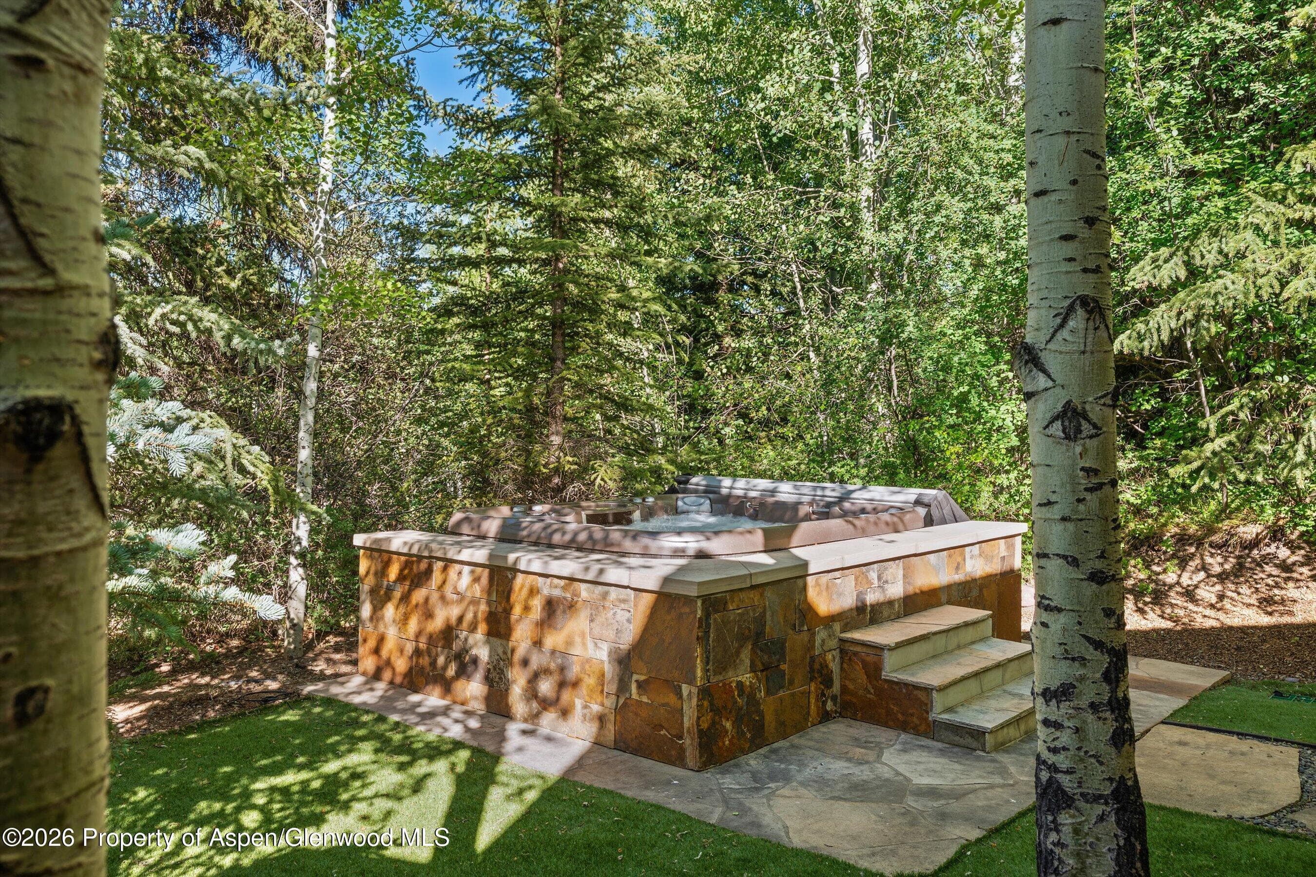 386 Pfister Drive, Aspen, CO 81611 - Photo 41