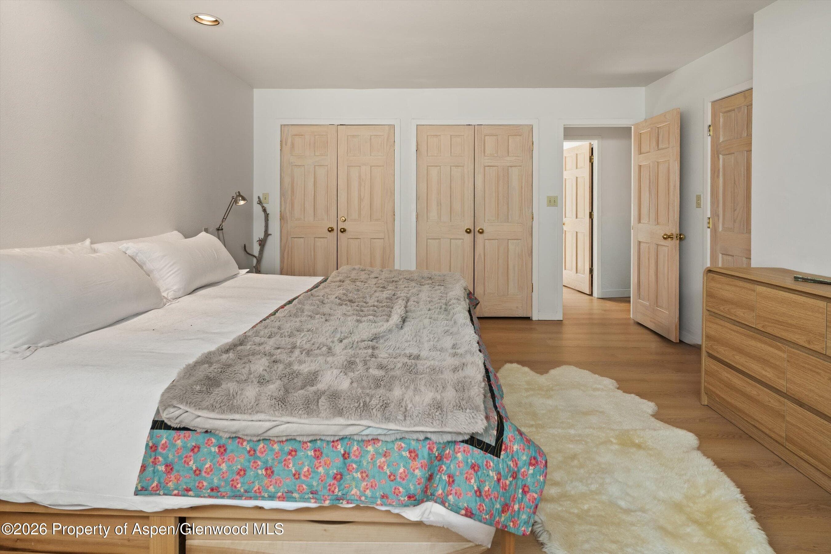 100 N Eigth Street 24, Aspen, CO 81611 - Photo 18