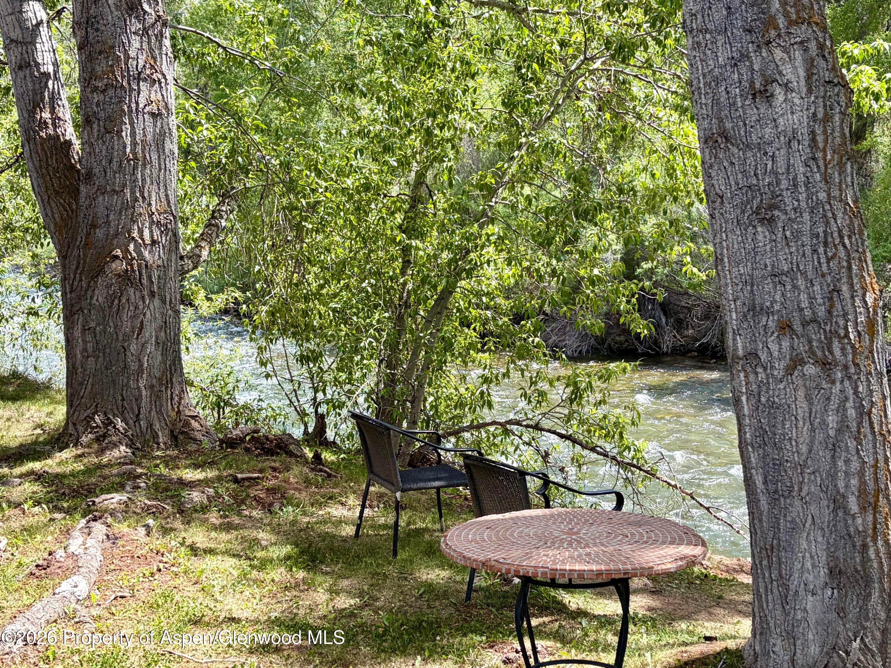 23286 Two Rivers Road #25, Basalt, CO 81621 - Photo 19