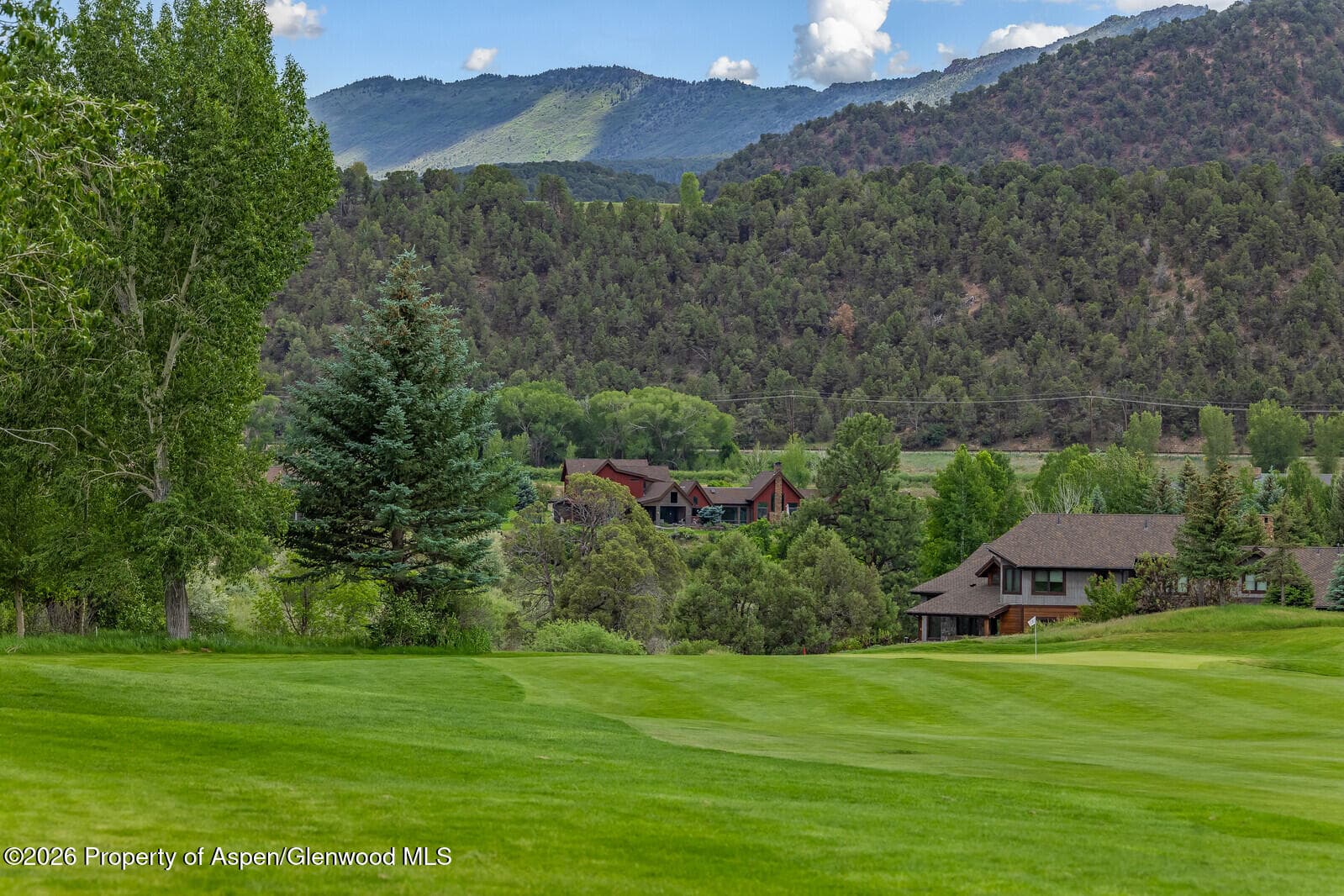 67 Alpen Glo, Carbondale, CO 81623 - Photo 11