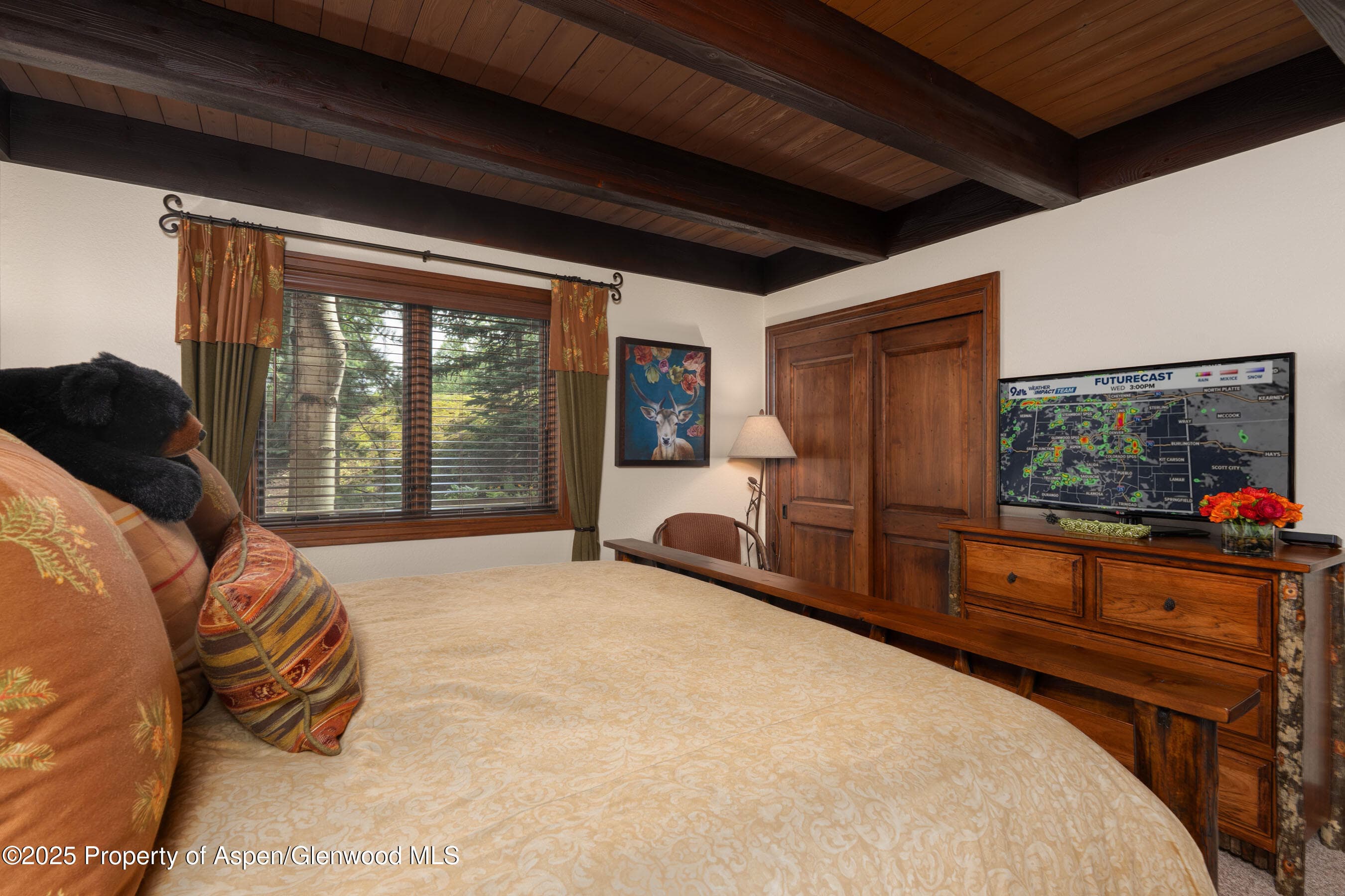 229 Faraway Road 28, Snowmass Village, CO 81615 - Photo 13