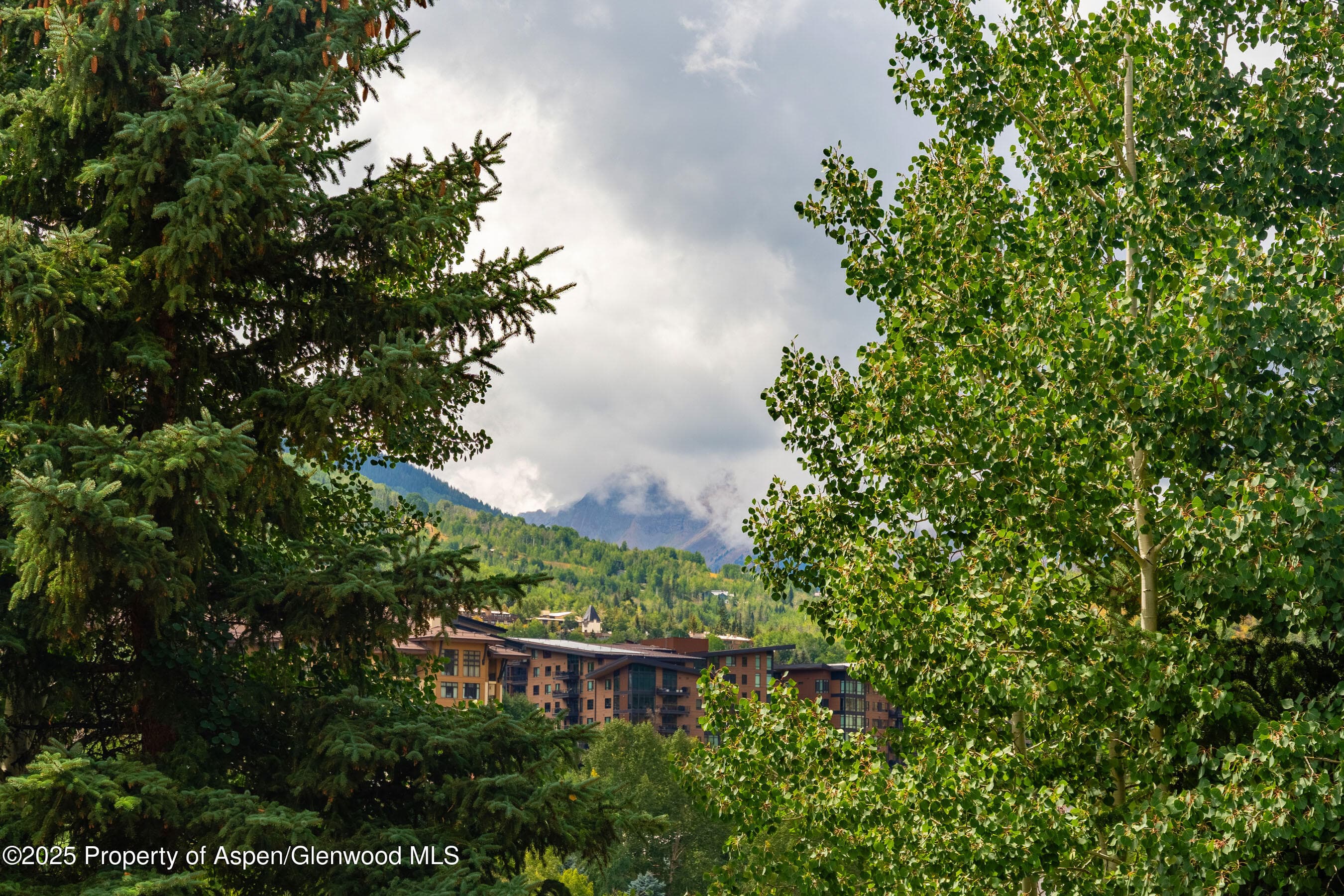 229 Faraway Road 28, Snowmass Village, CO 81615 - Photo 18