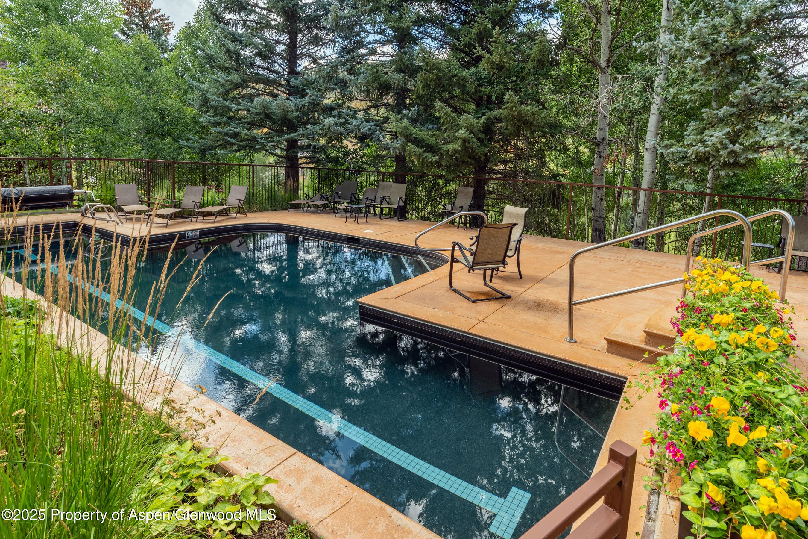 229 Faraway Road 28, Snowmass Village, CO 81615 - Photo 21