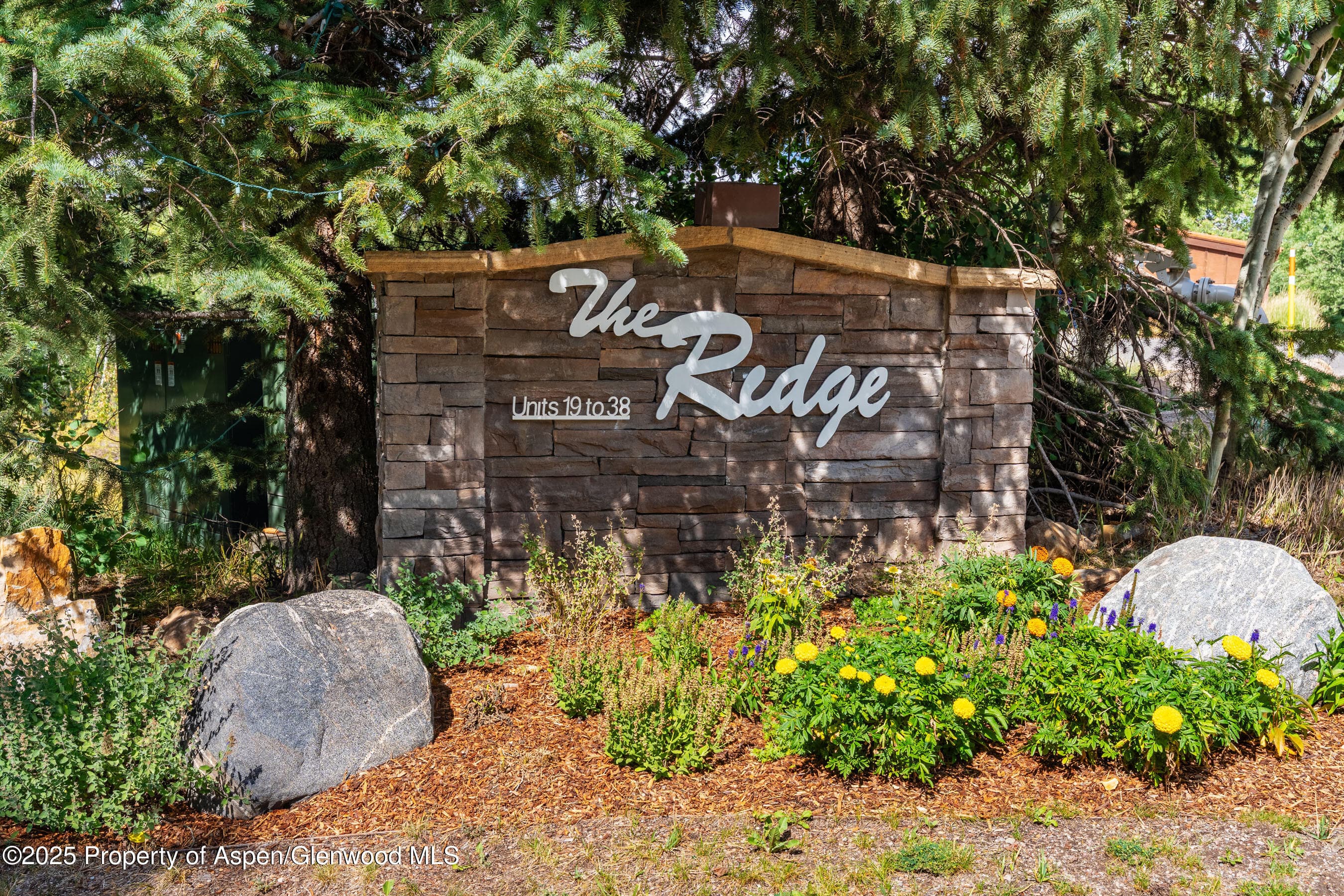 229 Faraway Road 28, Snowmass Village, CO 81615 - Photo 25