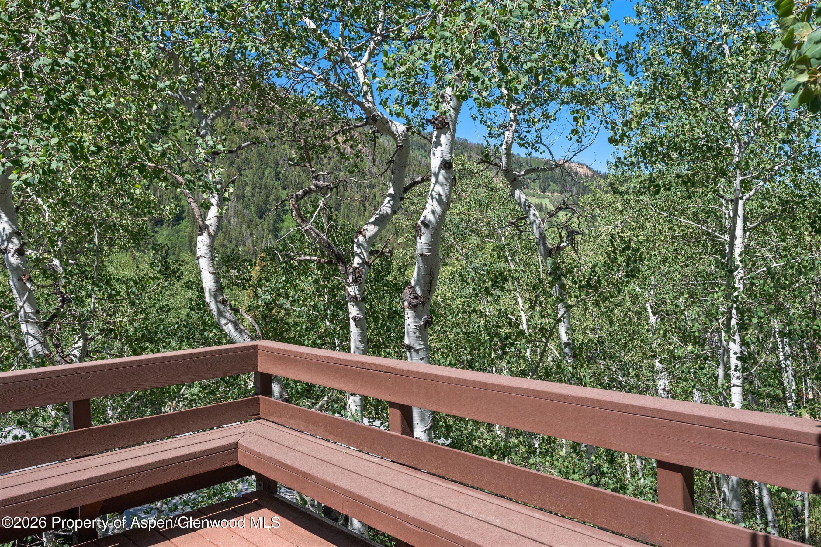 246 Roaring Fork Drive, Aspen, CO 81611 - Photo 14
