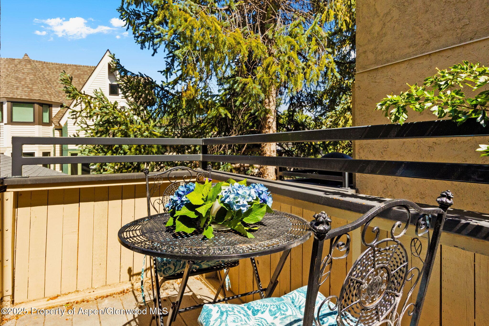 1024 E Cooper Avenue 8, Aspen, CO 81611 - Photo 5