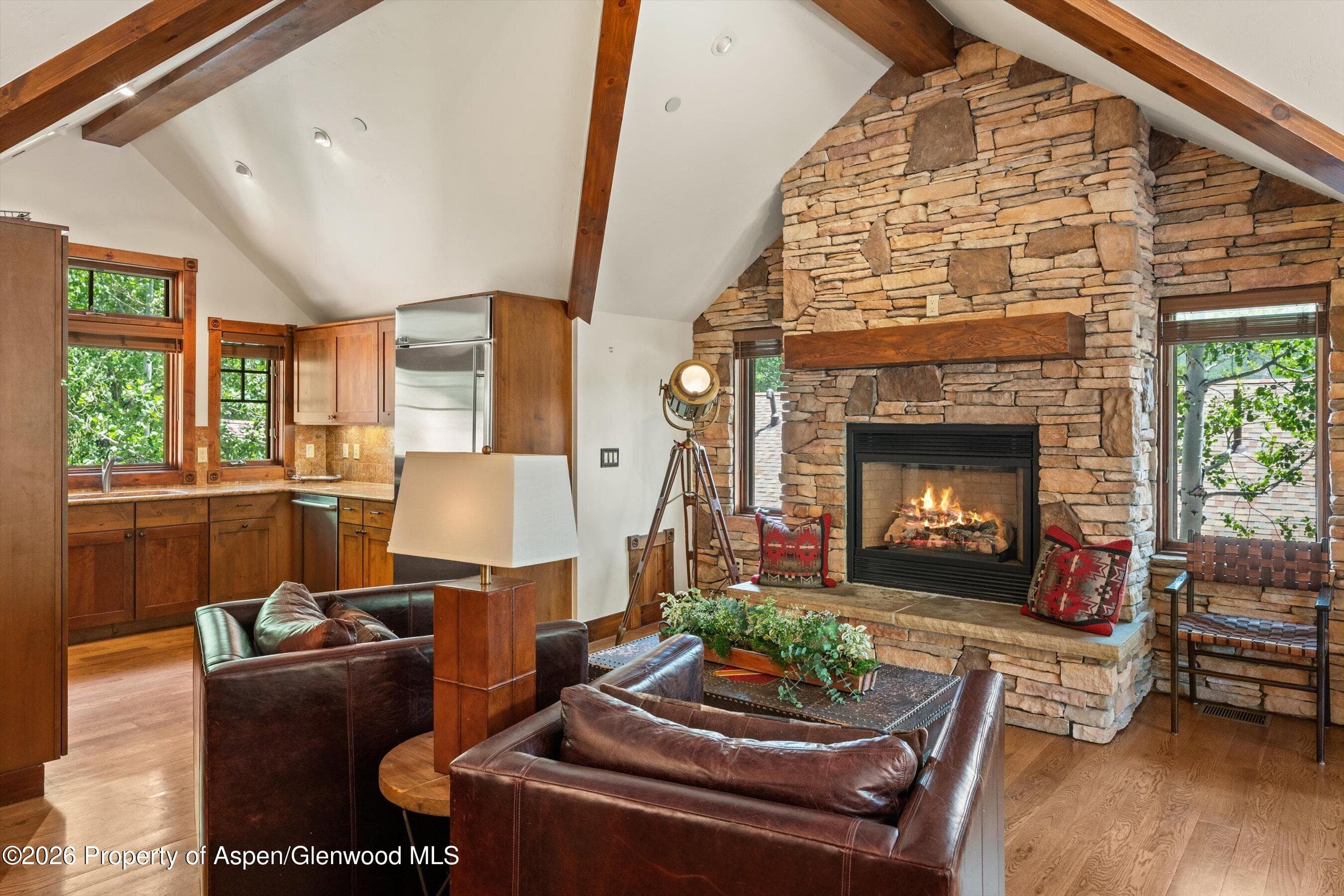 503 W Main Street B202, Aspen, CO 81611 - Photo 11
