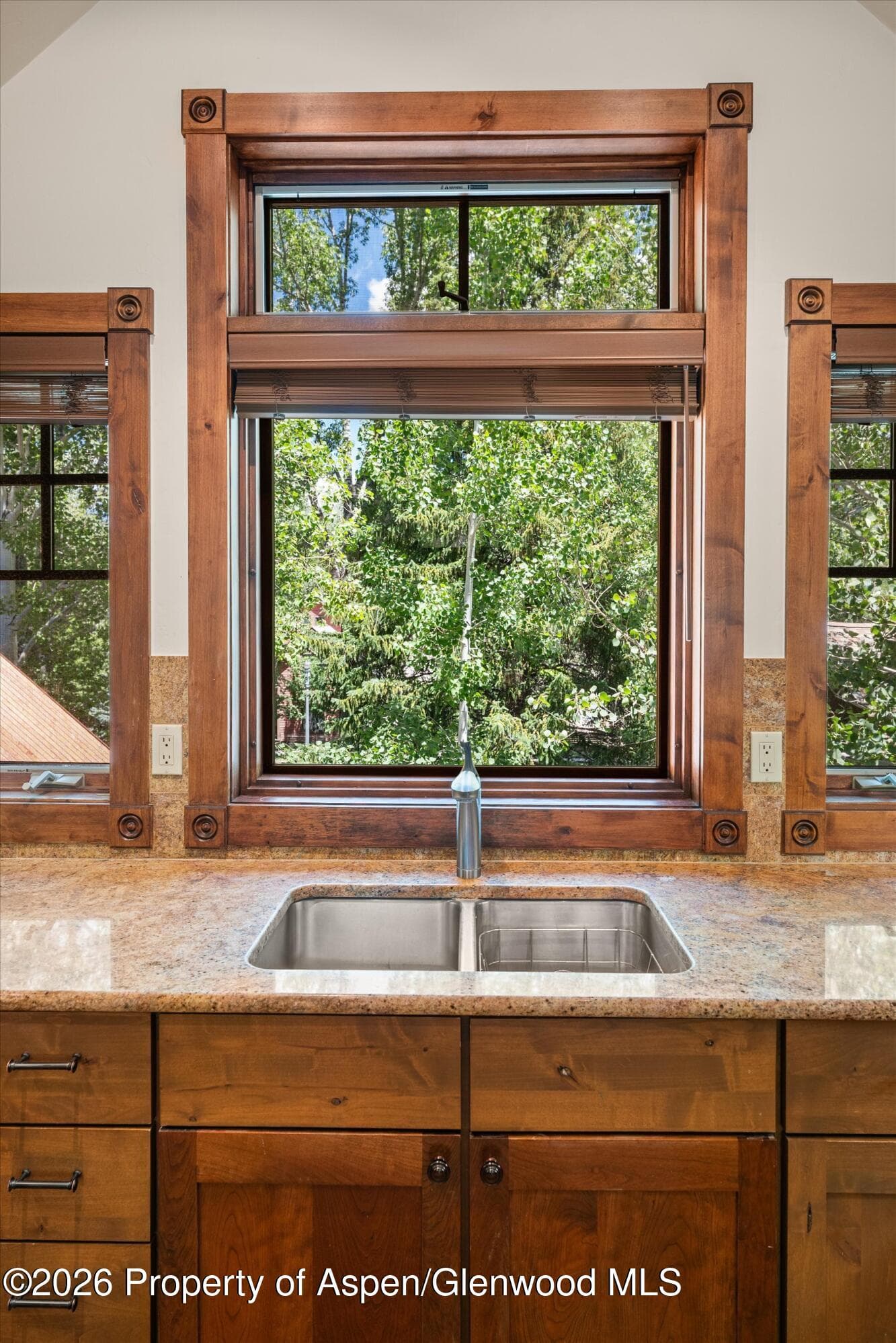 503 W Main Street B202, Aspen, CO 81611 - Photo 17