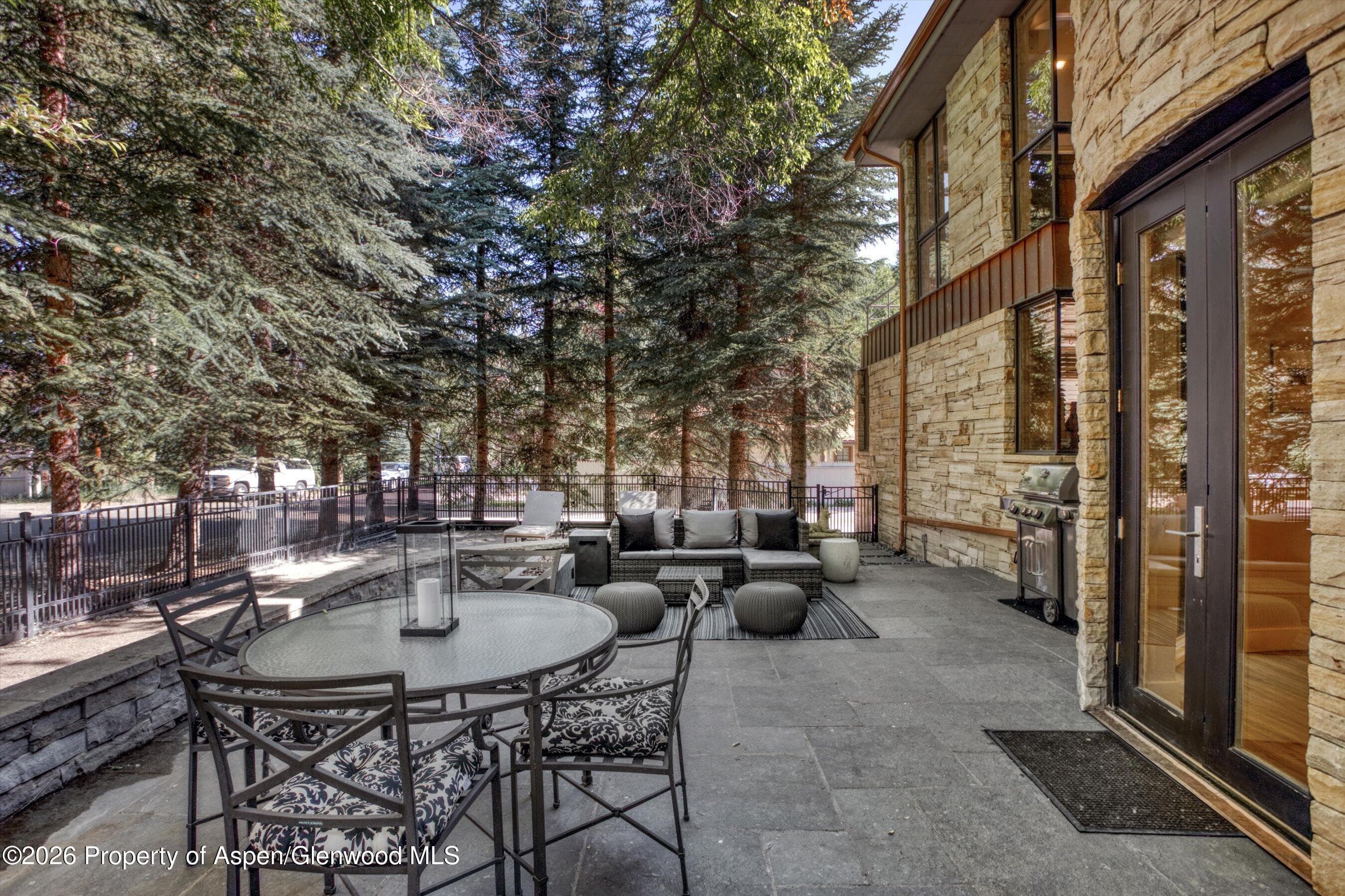736 W Smuggler Street B, Aspen, CO 81611 - Photo 27