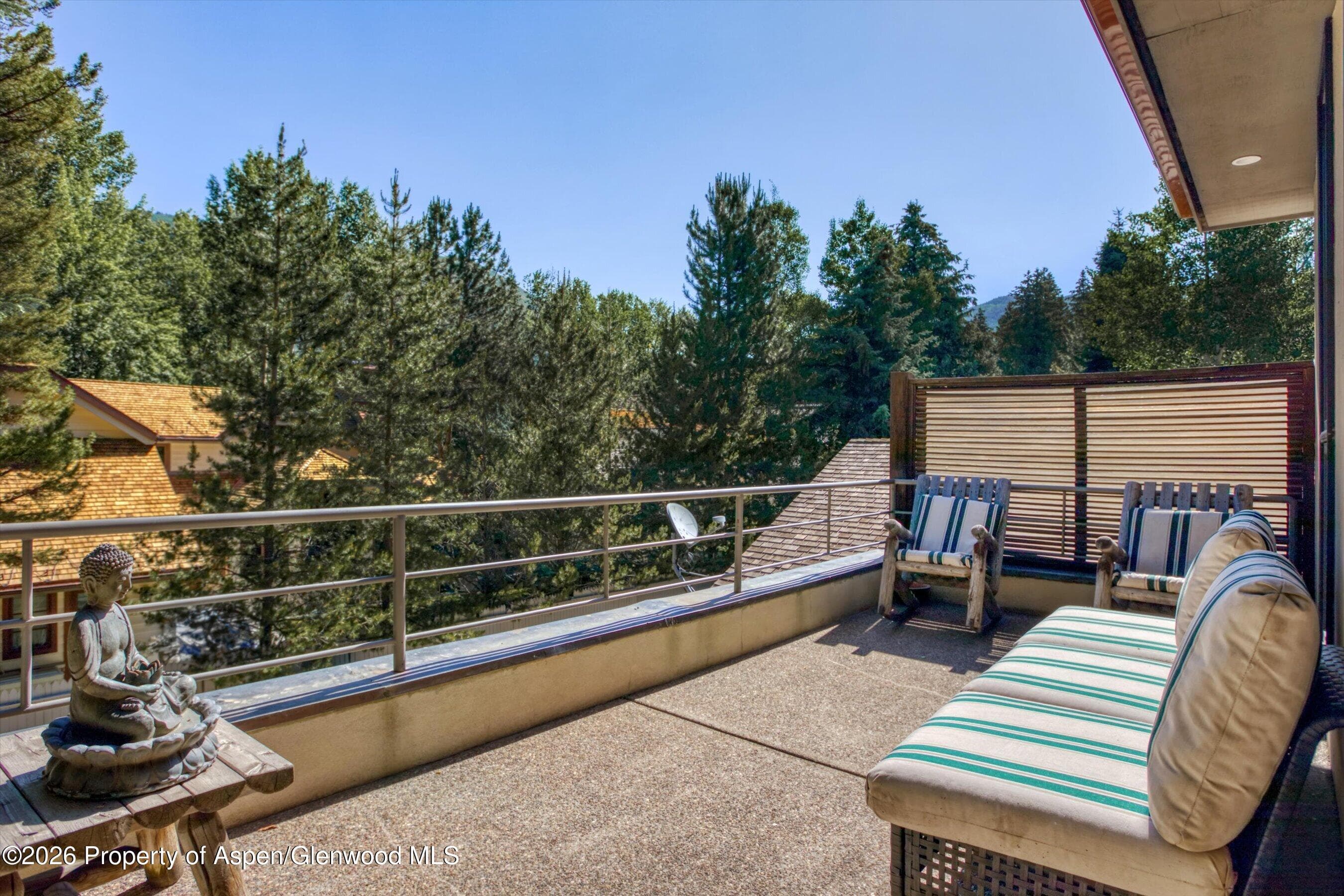 736 W Smuggler Street B, Aspen, CO 81611 - Photo 14