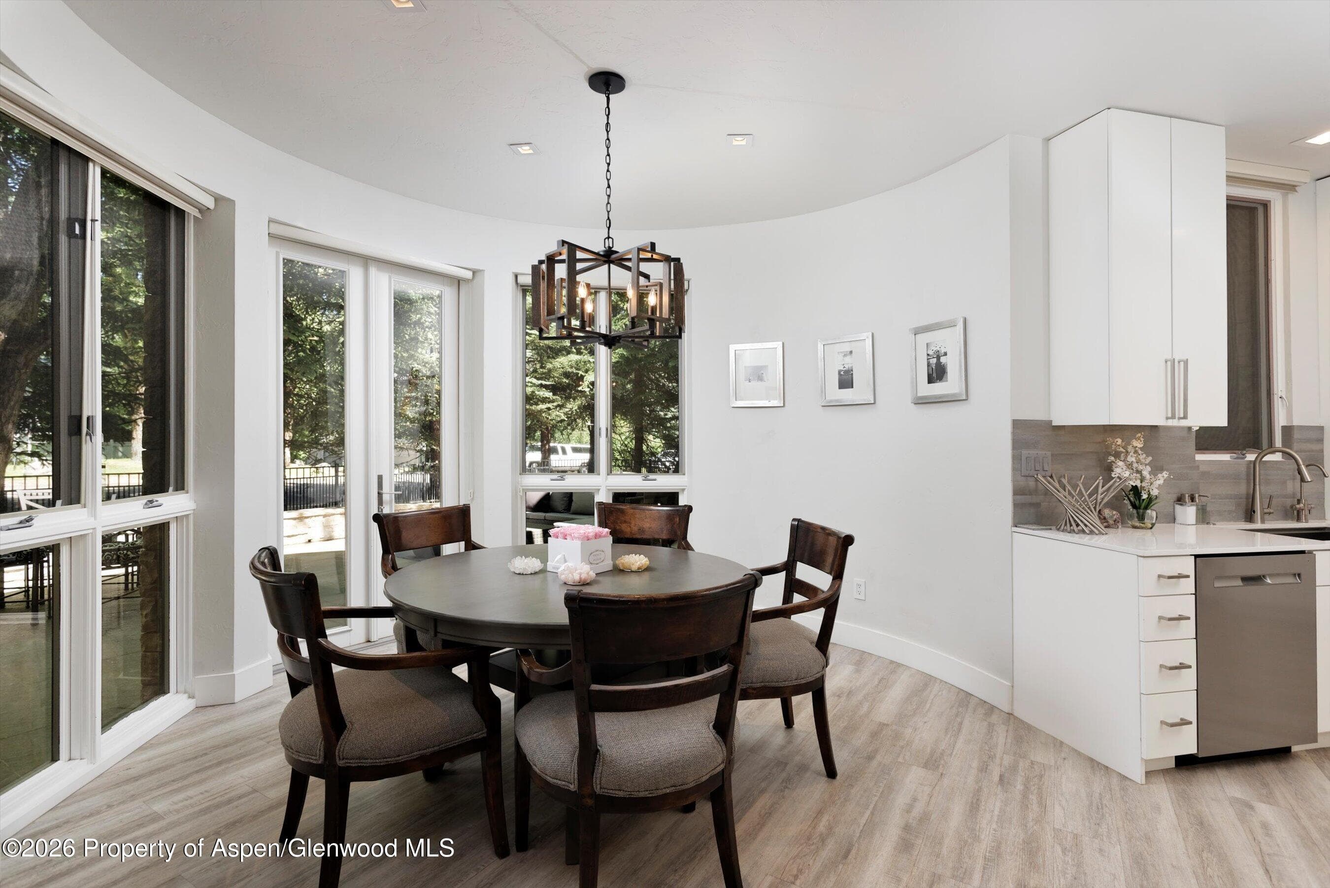 736 W Smuggler Street B, Aspen, CO 81611 - Photo 10