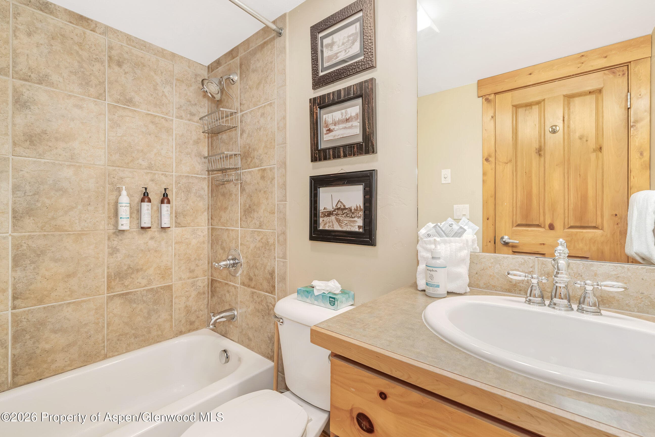 435 Ore House Plaza 101, Steamboat, CO 80487 - Photo 15