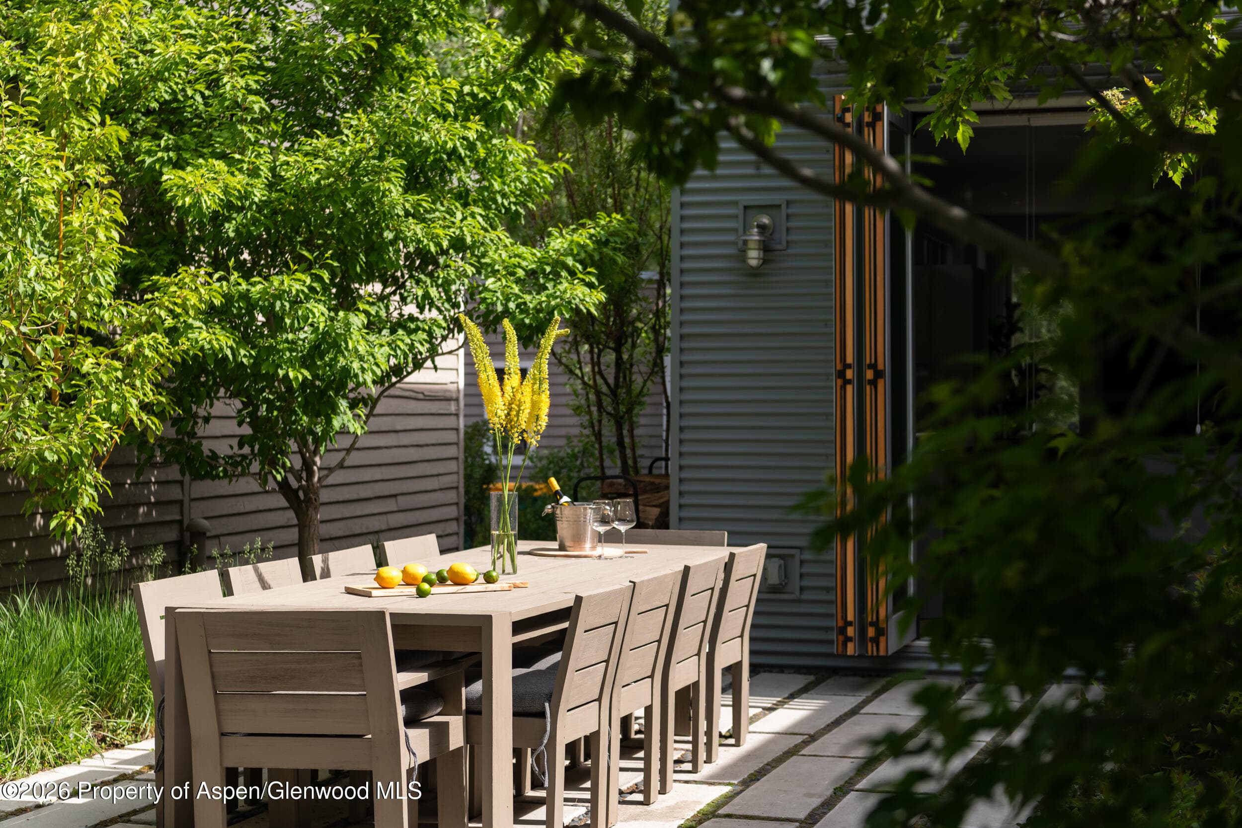 1006 E Cooper Avenue, Aspen, CO 81611 - Photo 5