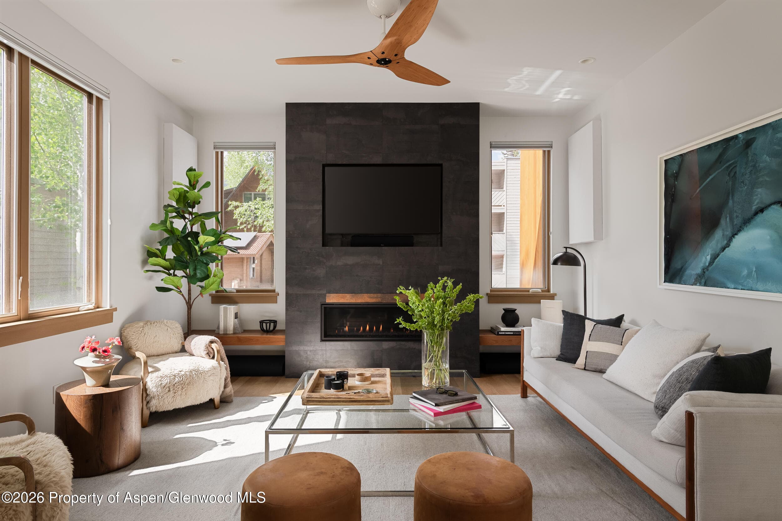 1006 E Cooper Avenue, Aspen, CO 81611 - Photo 10