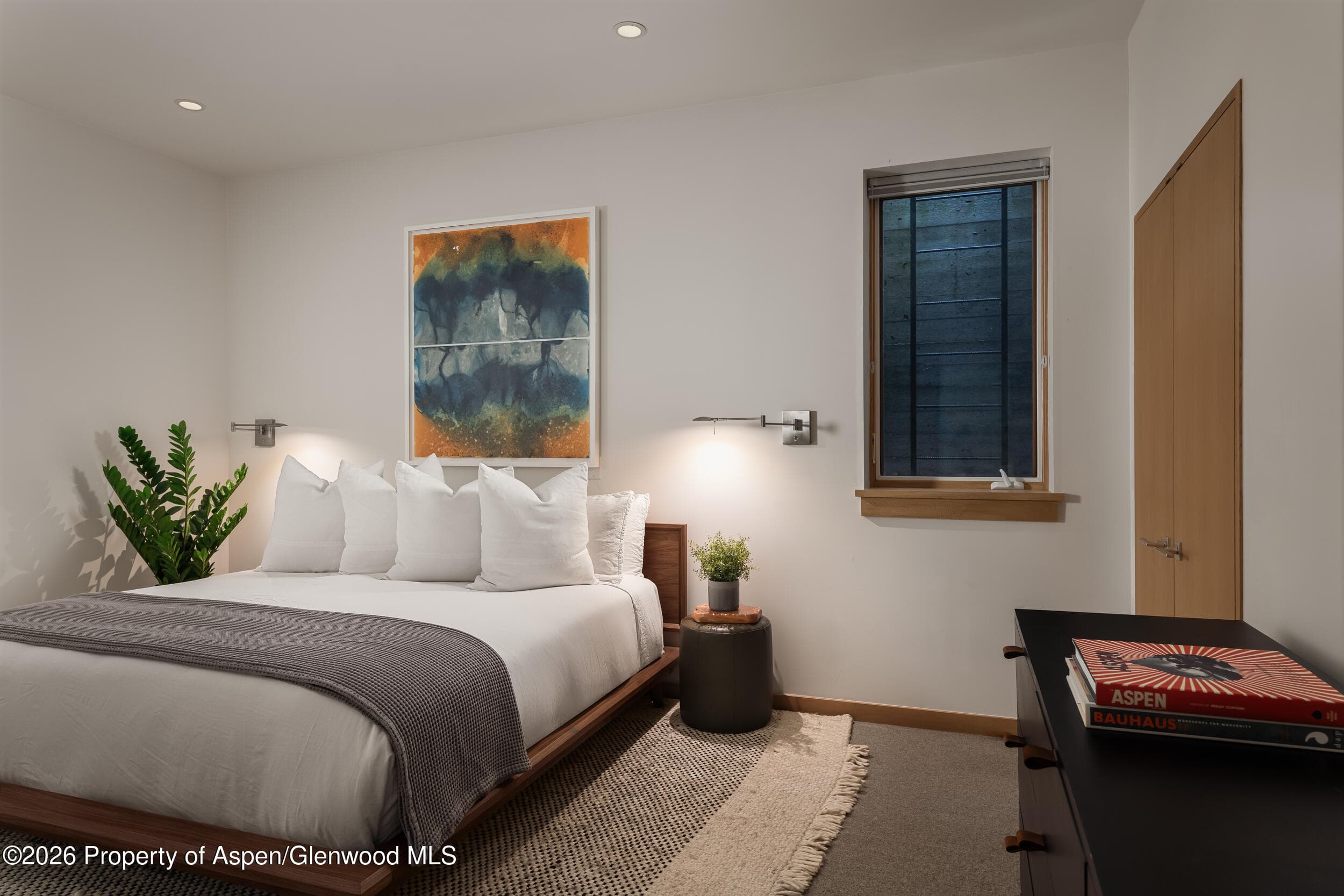1006 E Cooper Avenue, Aspen, CO 81611 - Photo 21