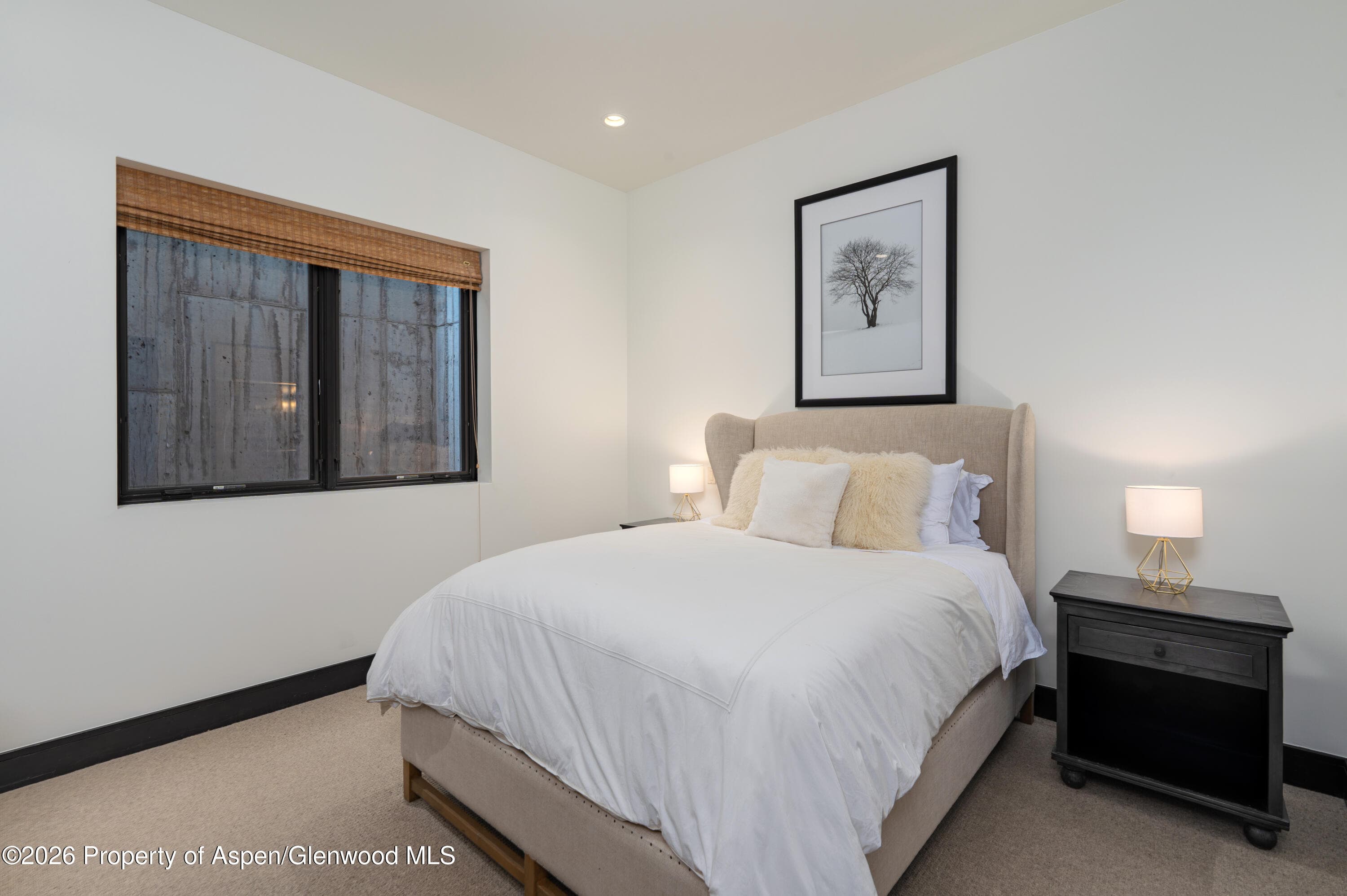 190 W Lupine Drive, Aspen, CO 81611 - Photo 10
