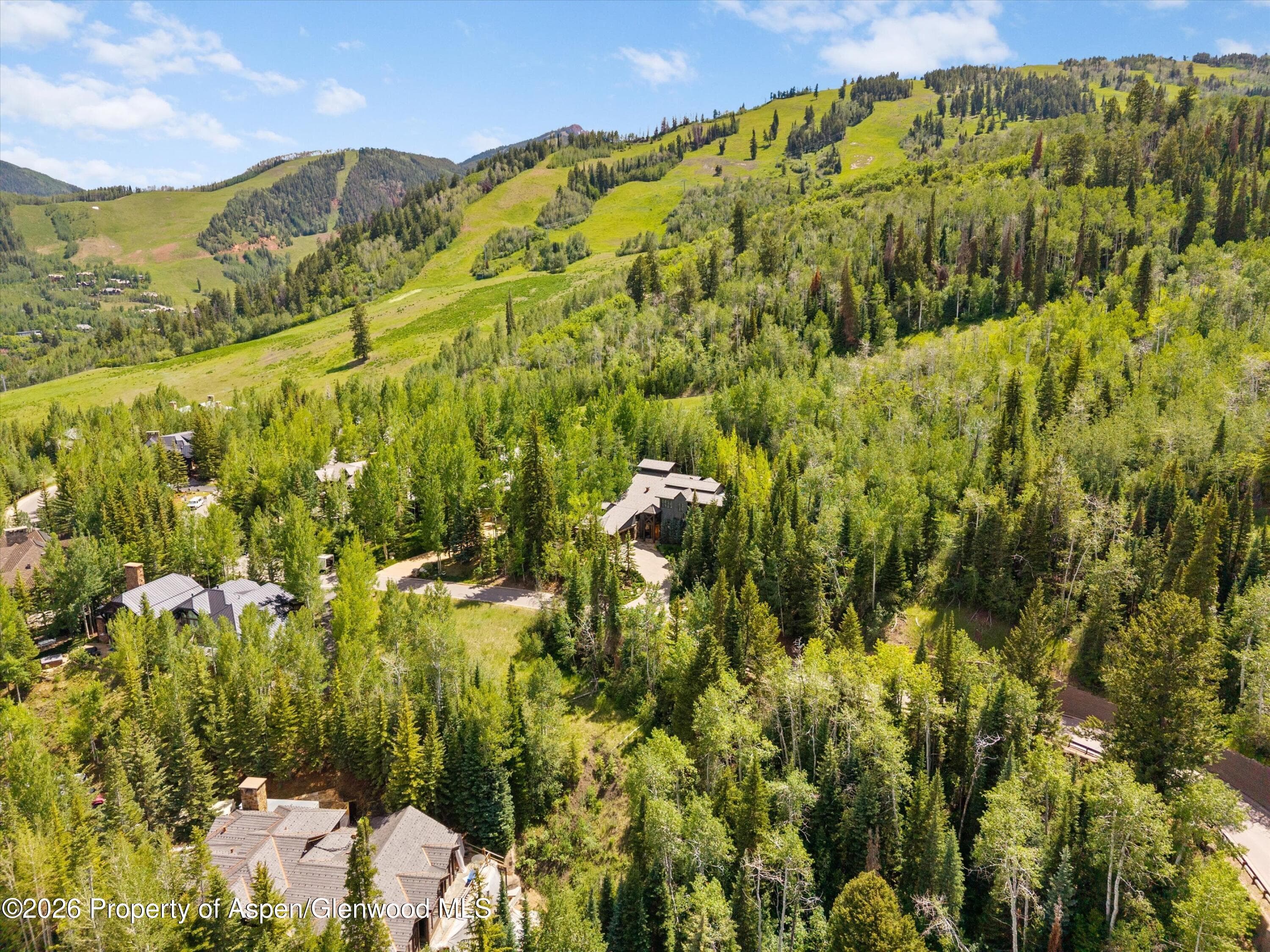 Tbd Pfister Drive, Aspen, CO 81611 - Photo 8