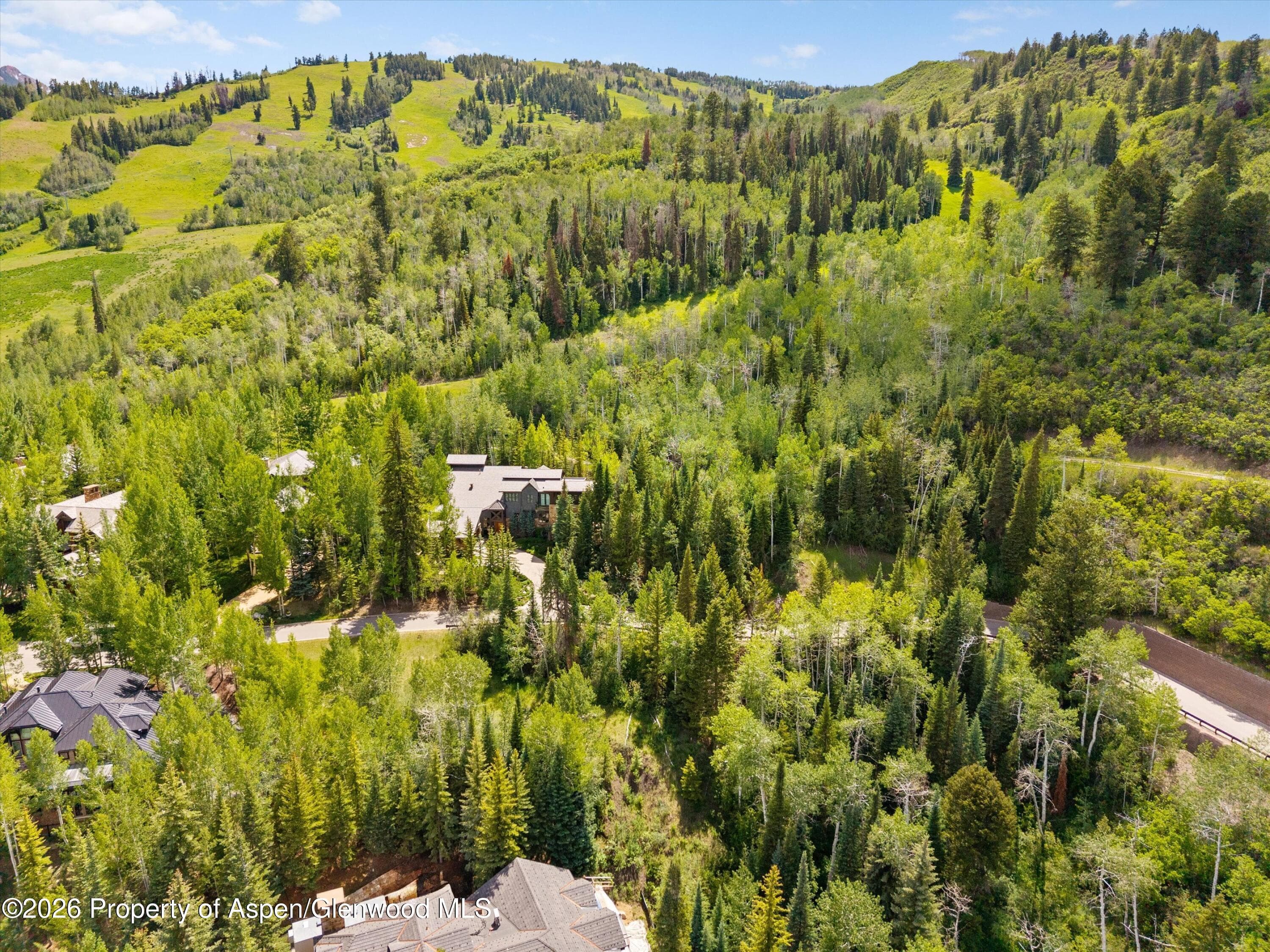 Tbd Pfister Drive, Aspen, CO 81611 - Photo 9