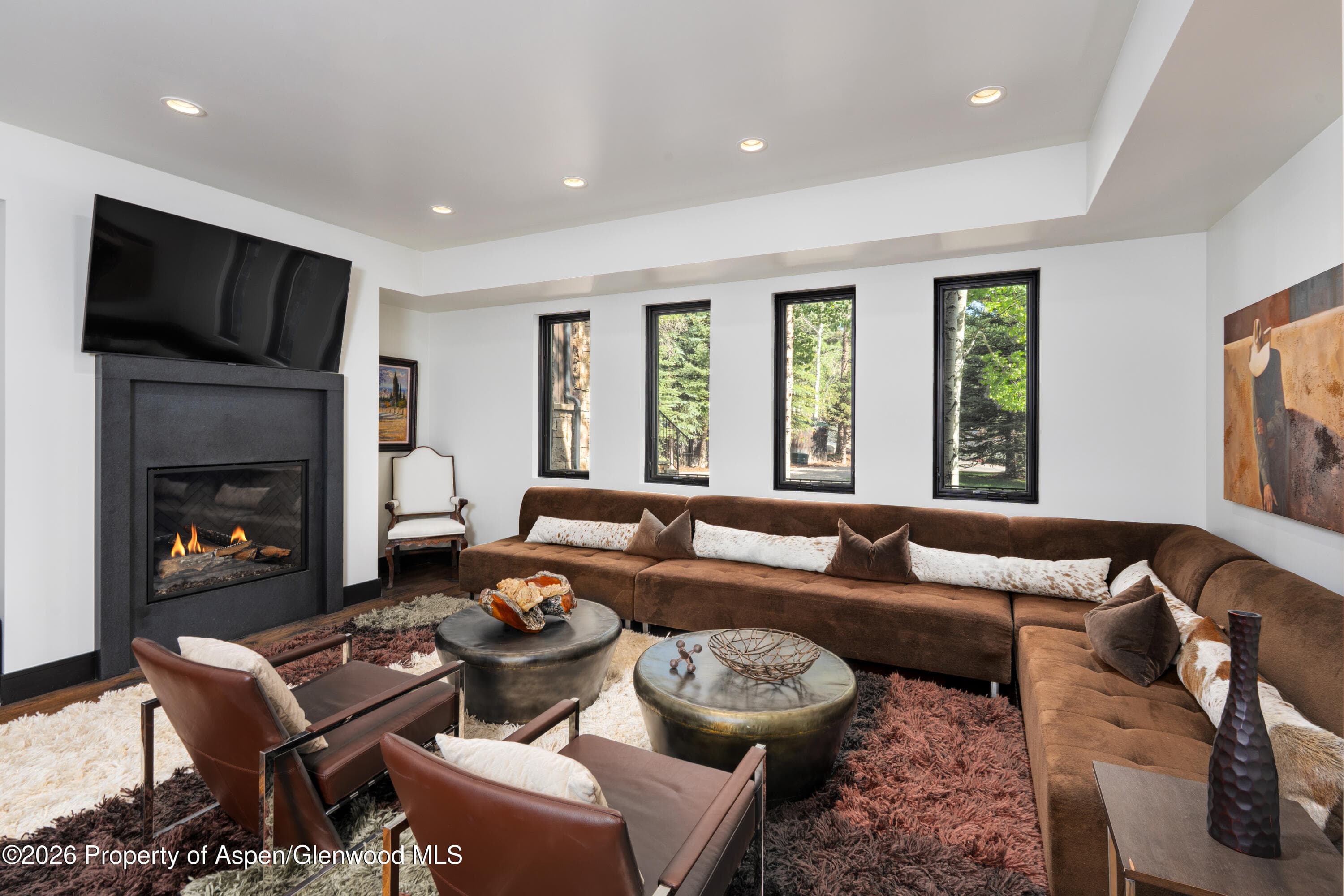 190 W Lupine Drive, Aspen, CO 81611 - Photo 12