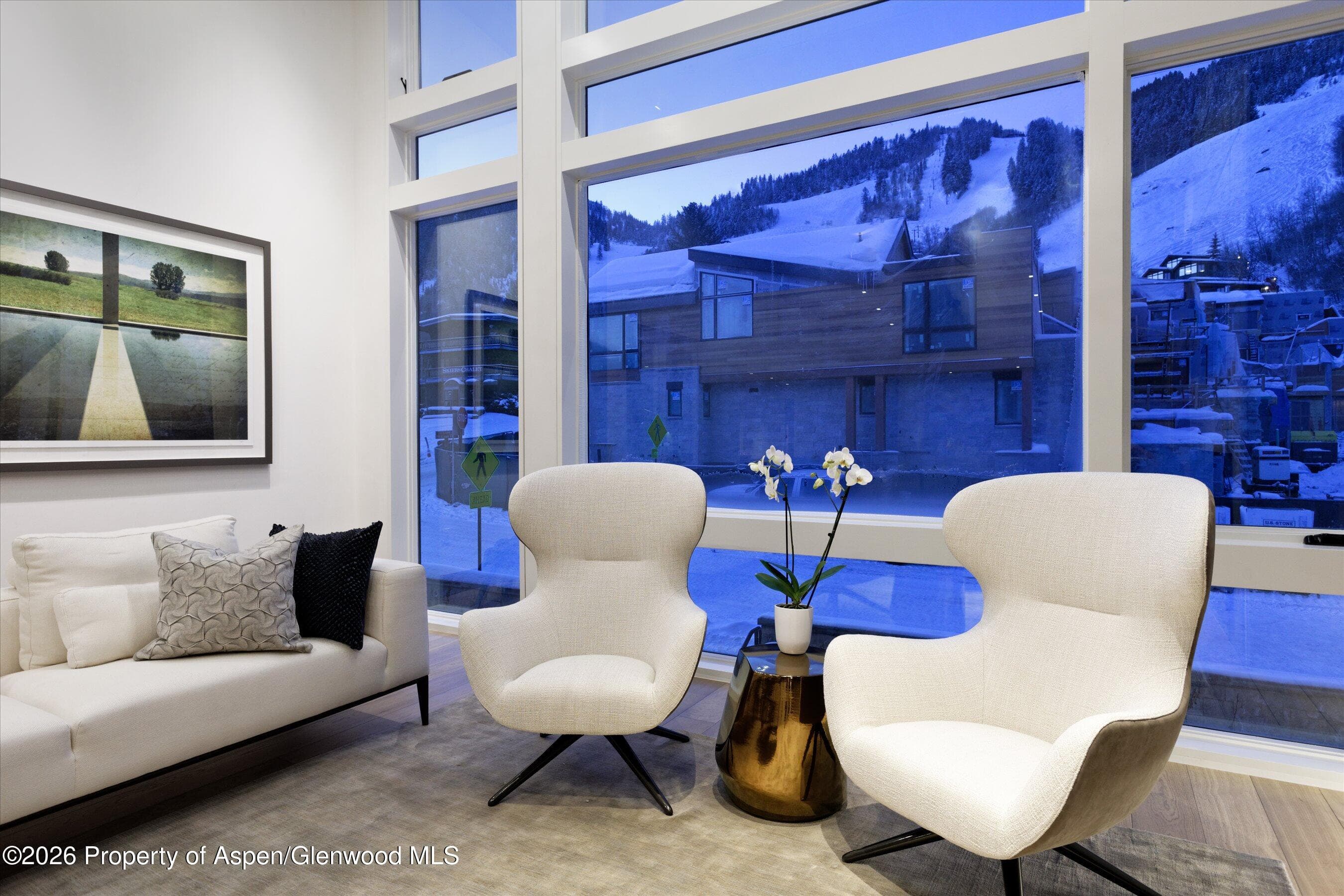 126 Juan Street, Aspen, CO 81611 - Photo 17