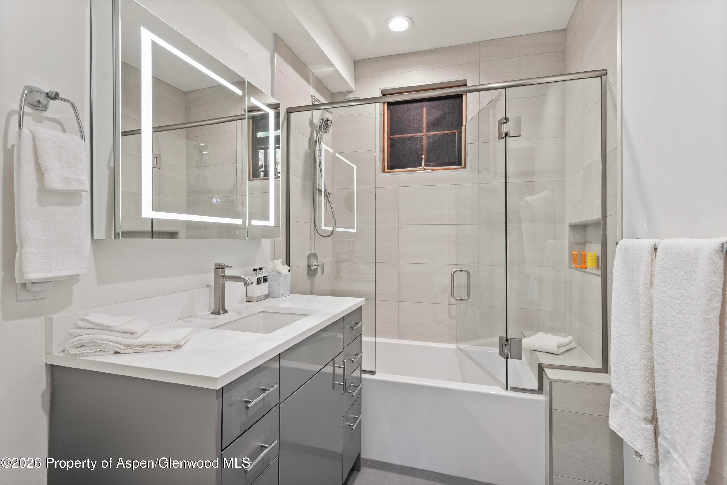 501 W Main Street A104, Aspen, CO 81611 - Photo 6
