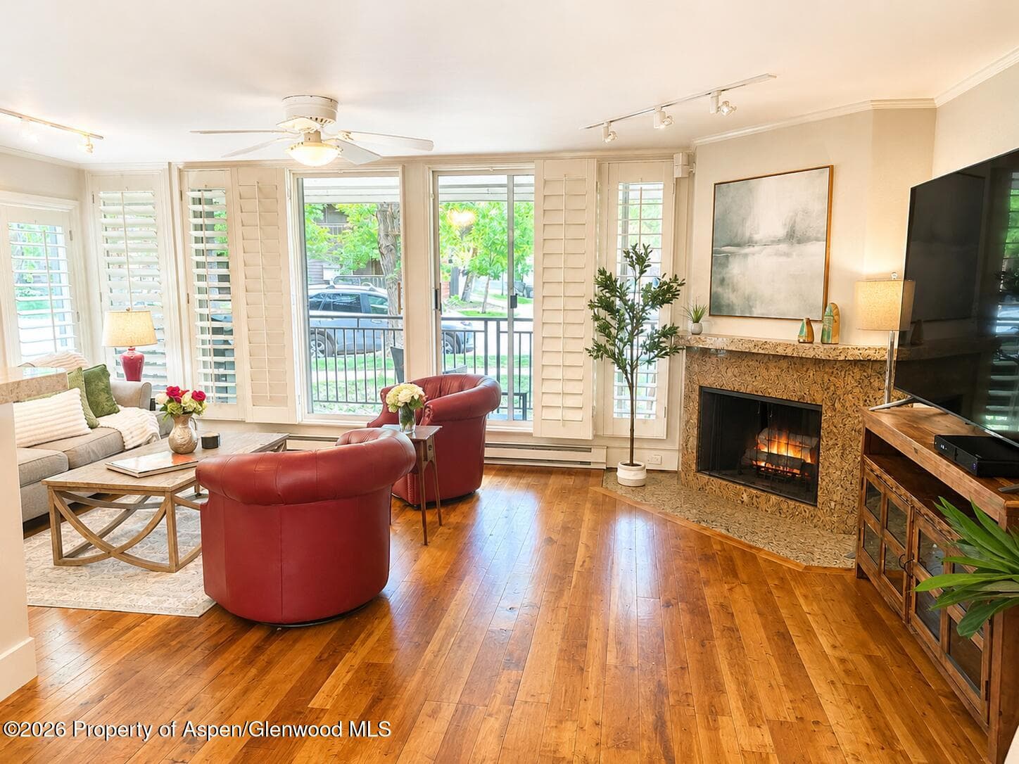800 E Hopkins Avenue A-1, Aspen, CO 81611 - Photo 2
