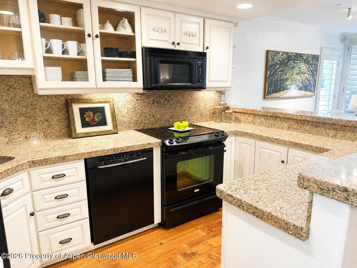 800 E Hopkins Avenue A-1, Aspen, CO 81611 - Photo 3
