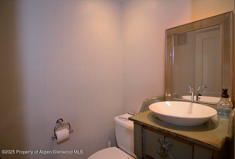 800 E Hopkins Avenue A-1, Aspen, CO 81611 - Photo 11