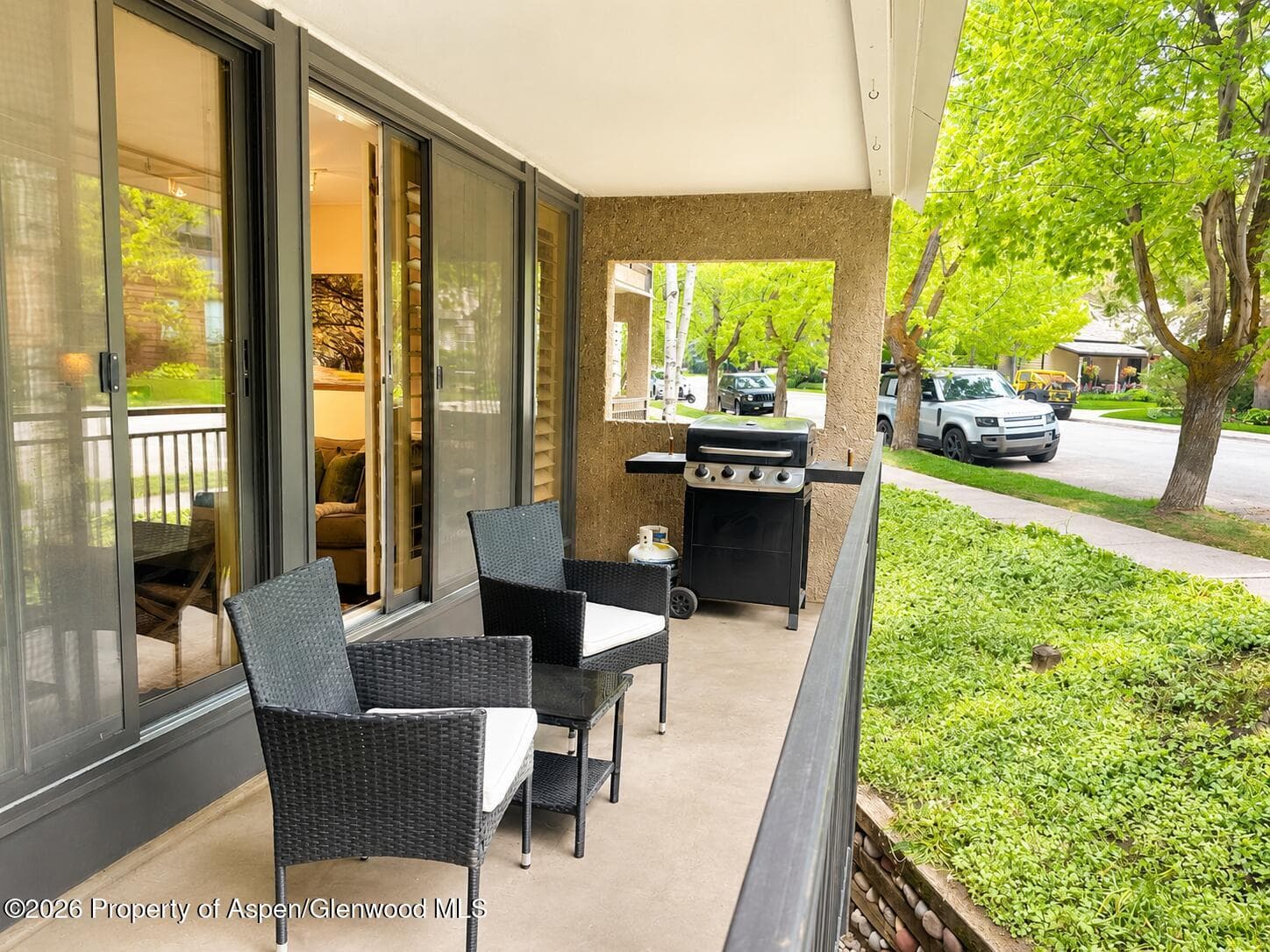 800 E Hopkins Avenue A-1, Aspen, CO 81611 - Photo 13