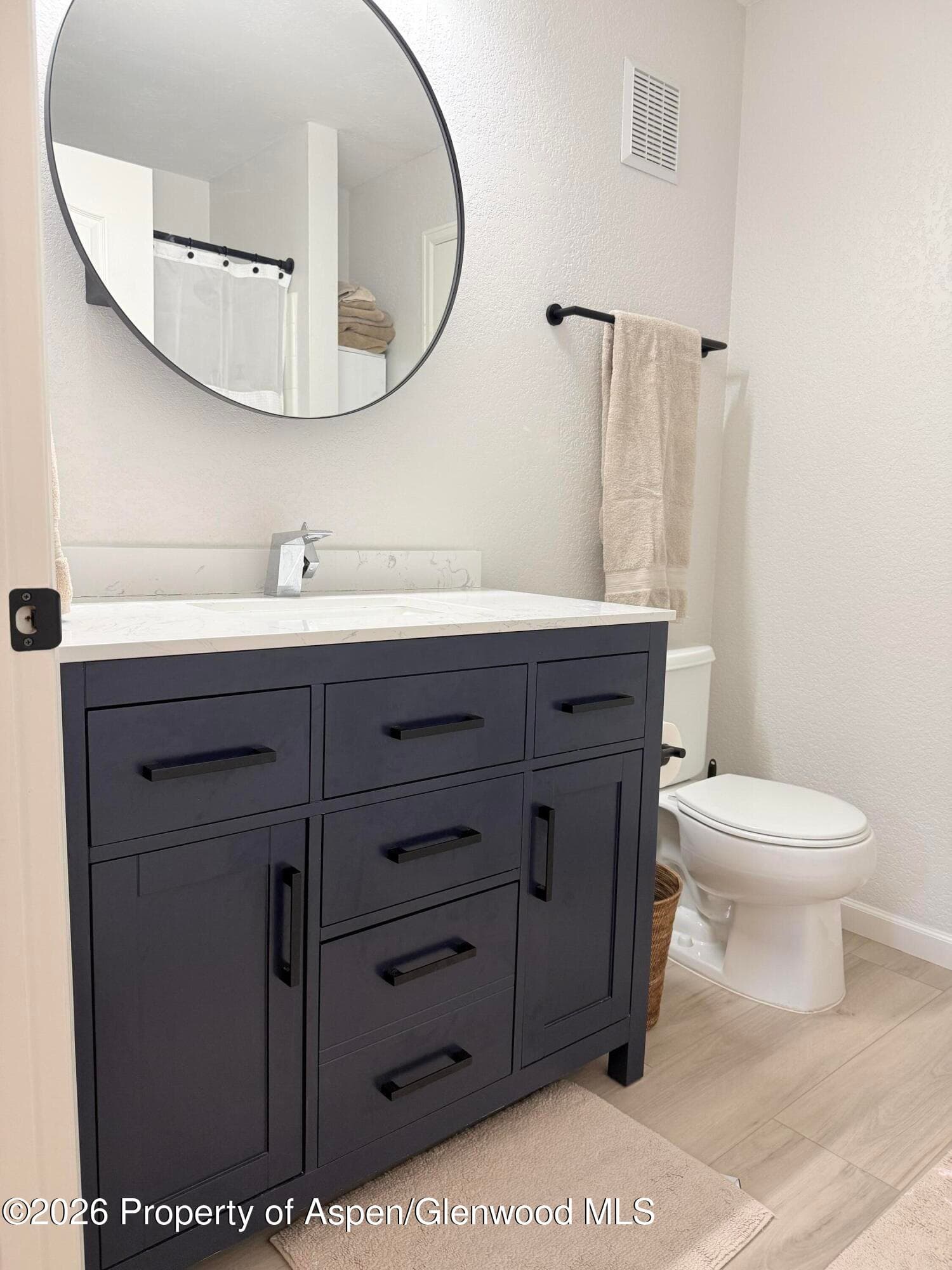 3102 Elk Lane, Basalt, CO 81621 - Photo 4