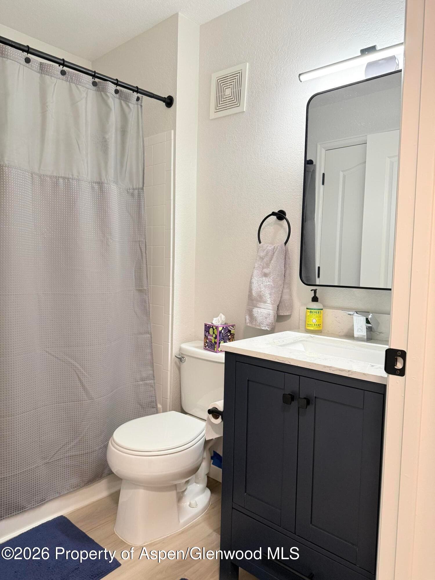 3102 Elk Lane, Basalt, CO 81621 - Photo 8