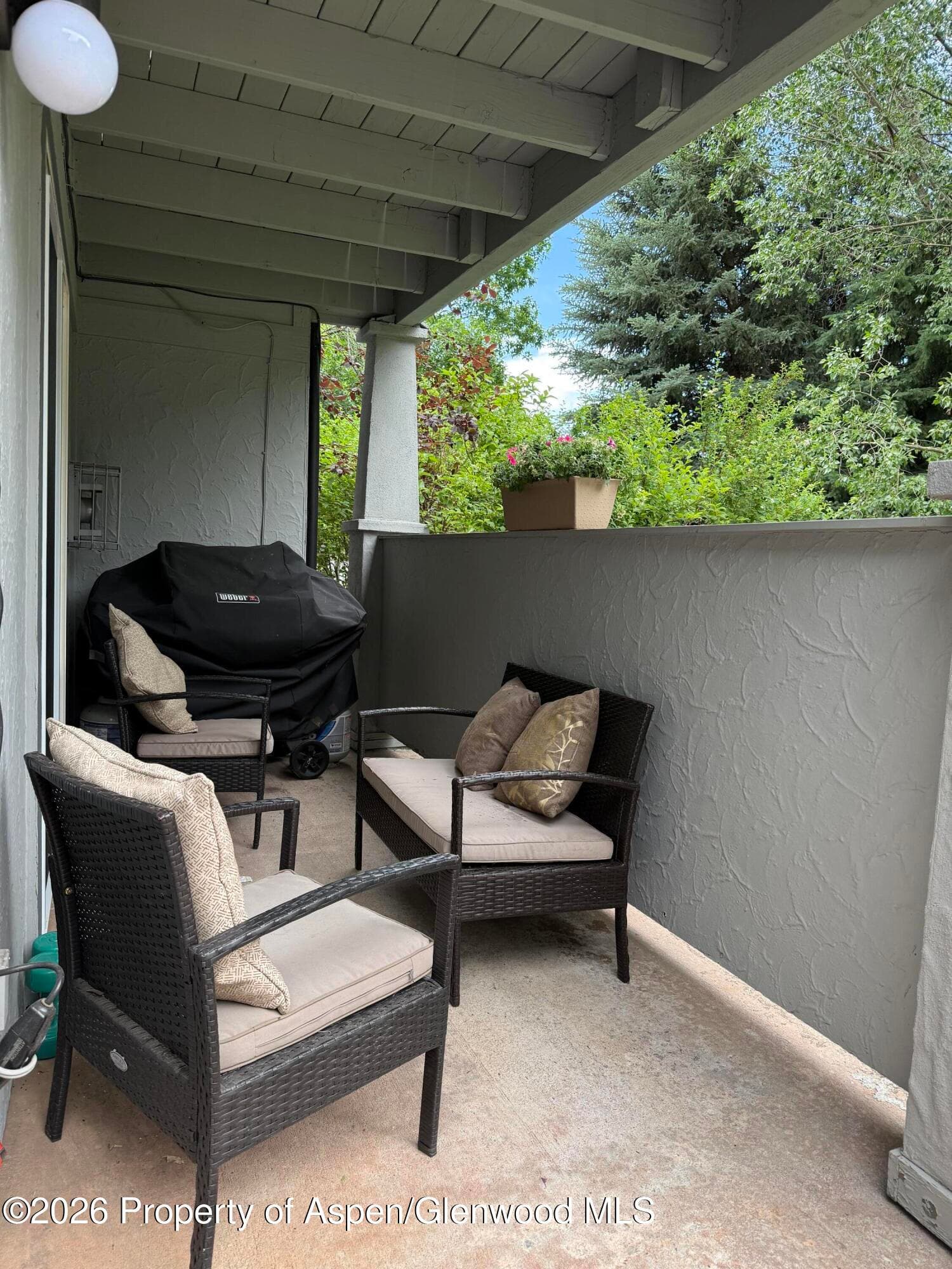 3102 Elk Lane, Basalt, CO 81621 - Photo 9