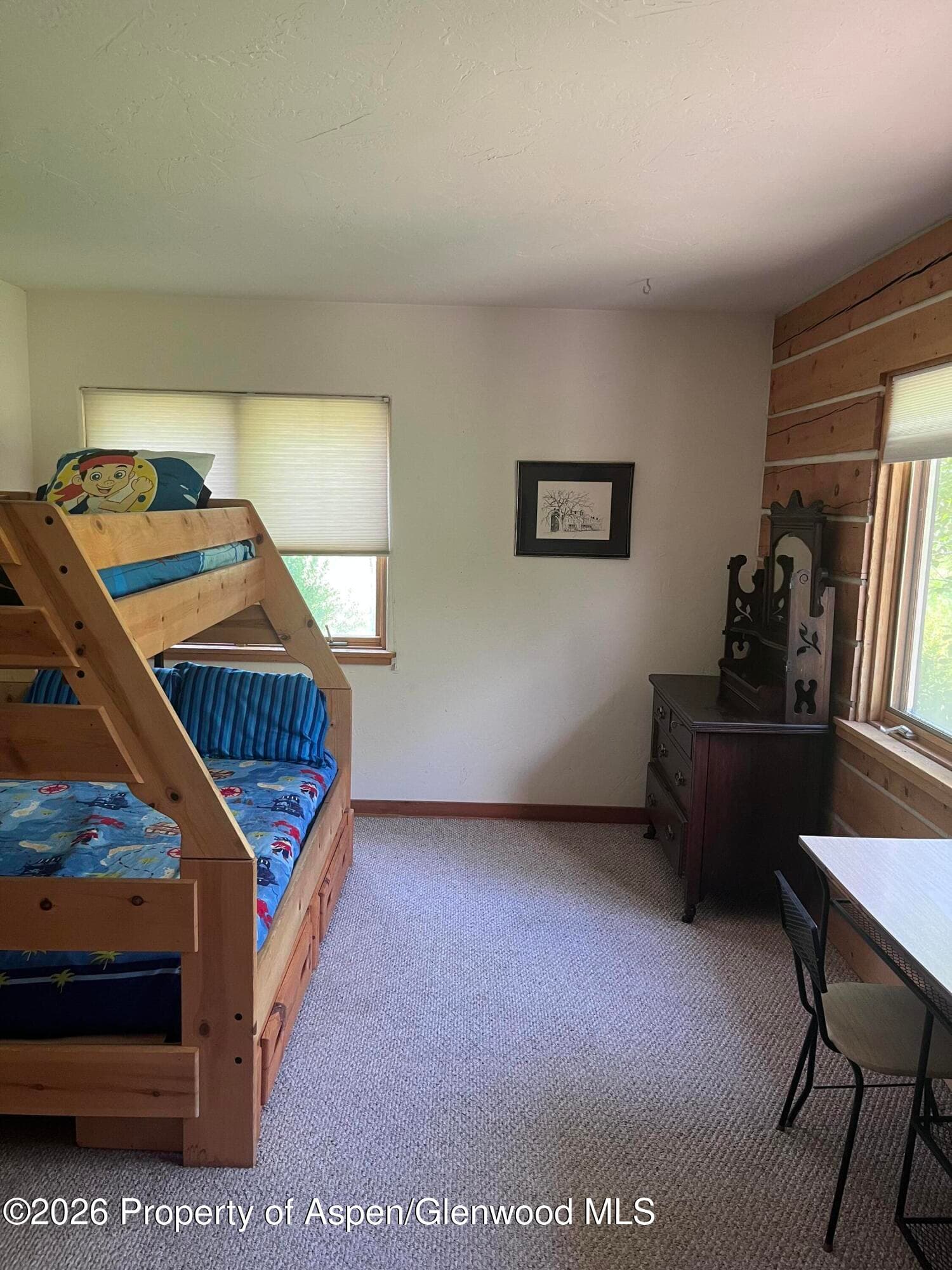 135 Lewis Lane, Basalt, CO 81621 - Photo 17
