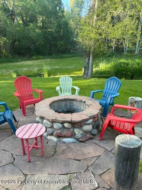 135 Lewis Lane, Basalt, CO 81621 - Photo 22