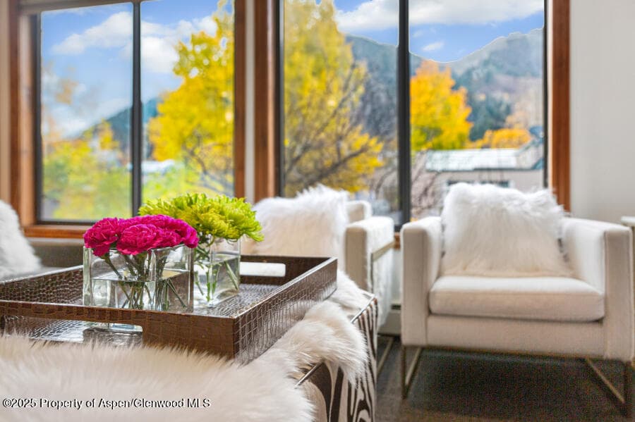 725 E Main Street 309, Aspen, CO 81611 - Photo 4